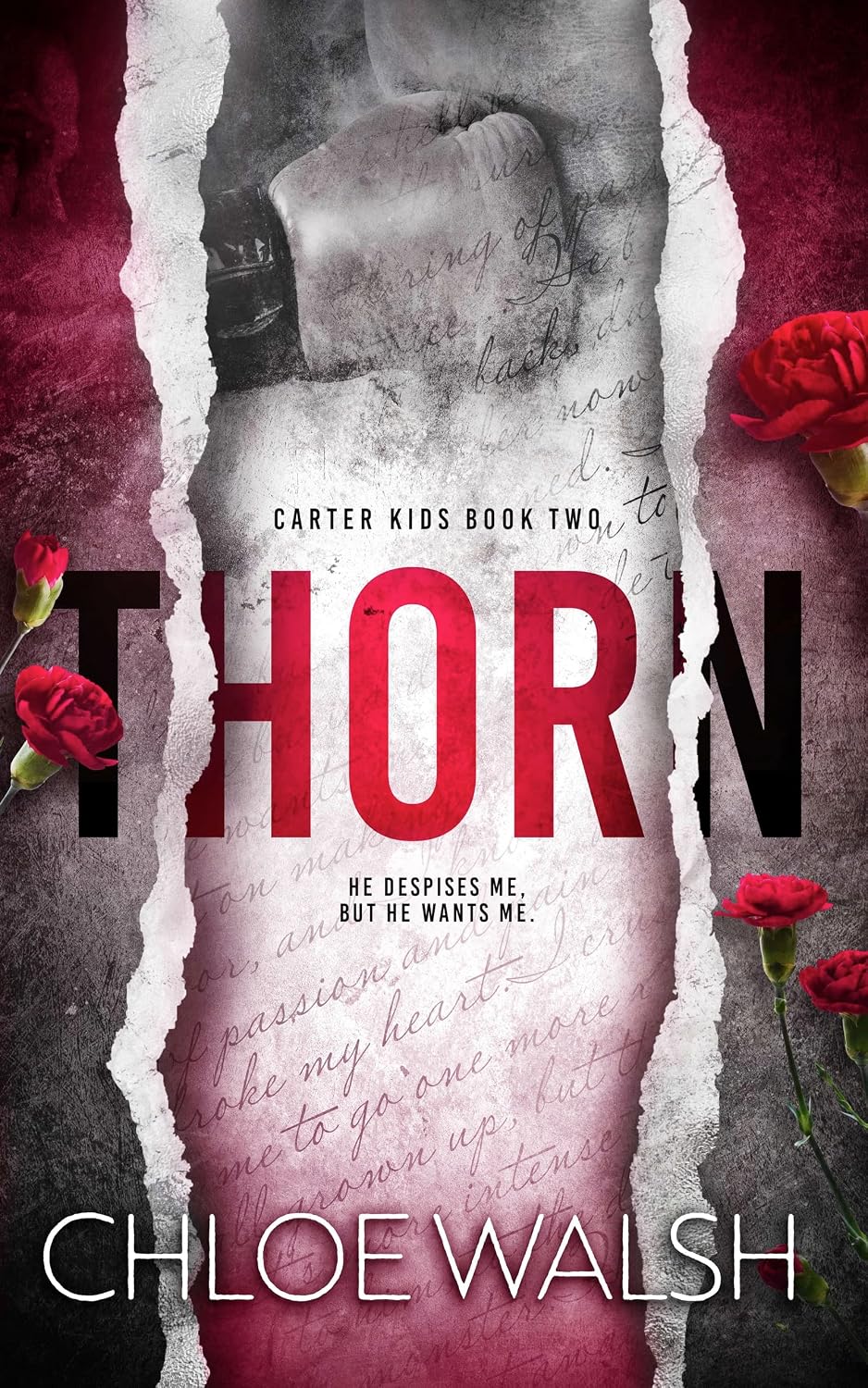 Thorn: Carter Kids #2 (English Edition) baixar o livro de graça