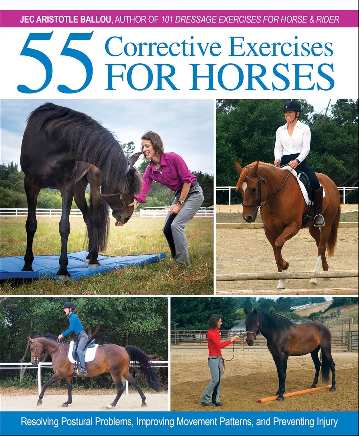 55 Corrective Exercises for Horses: Resolving Postural Problems, Improving Movement Patterns, and Preventing Injury (English Edition) baixar livro de graça