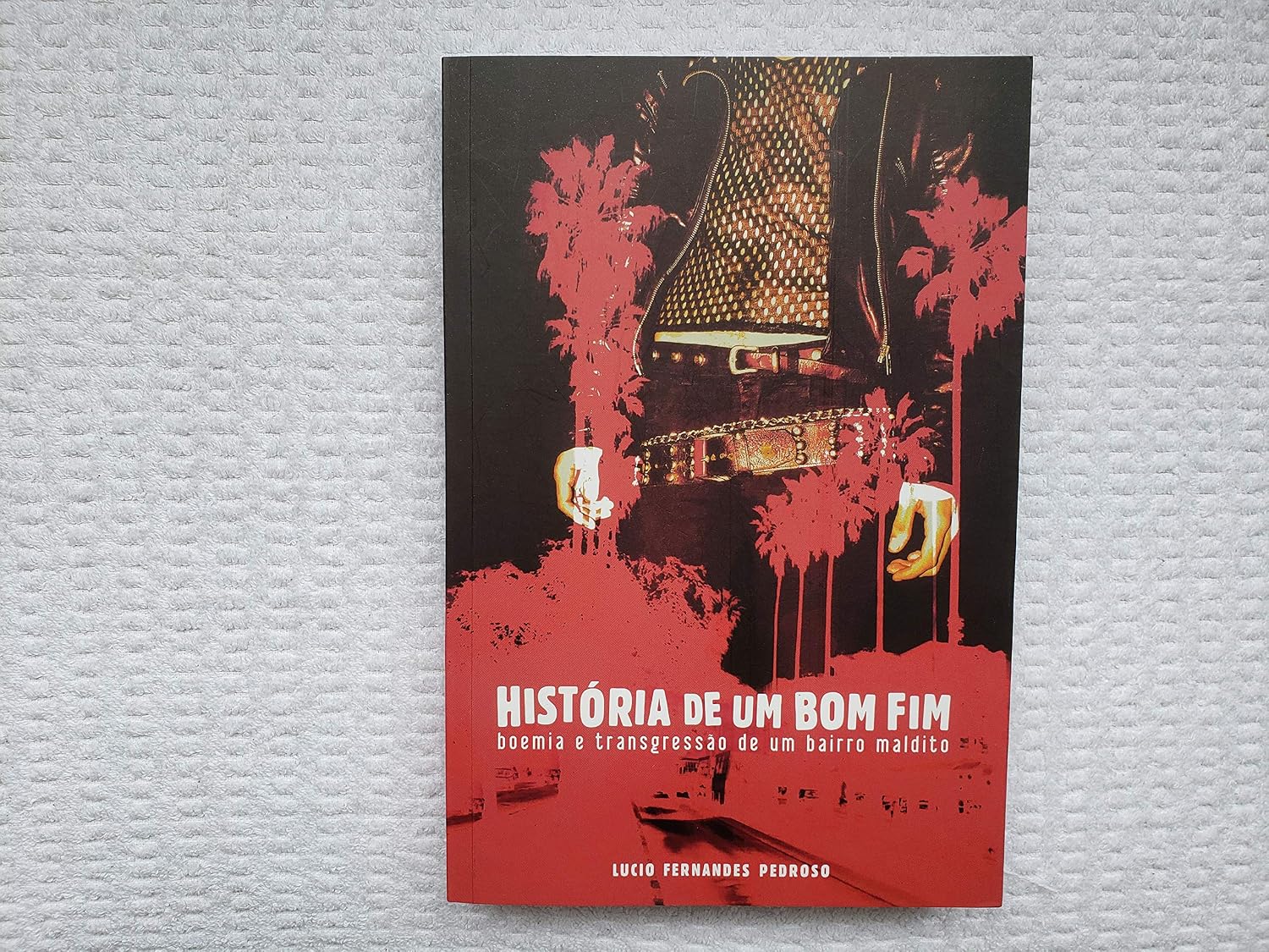 História de um Bom Fim baixar livro de graça