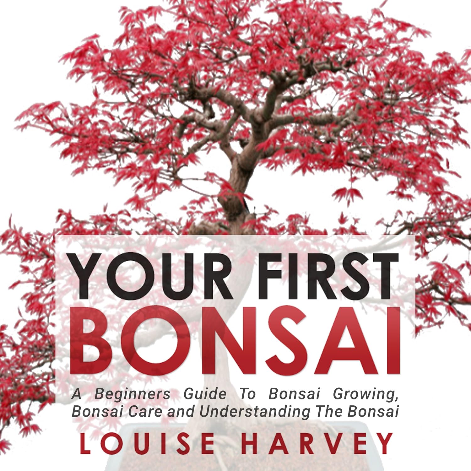 Your First Bonsai: A Beginners Guide to Bonsai Growing, Bonsai Care and Understanding the Bonsai