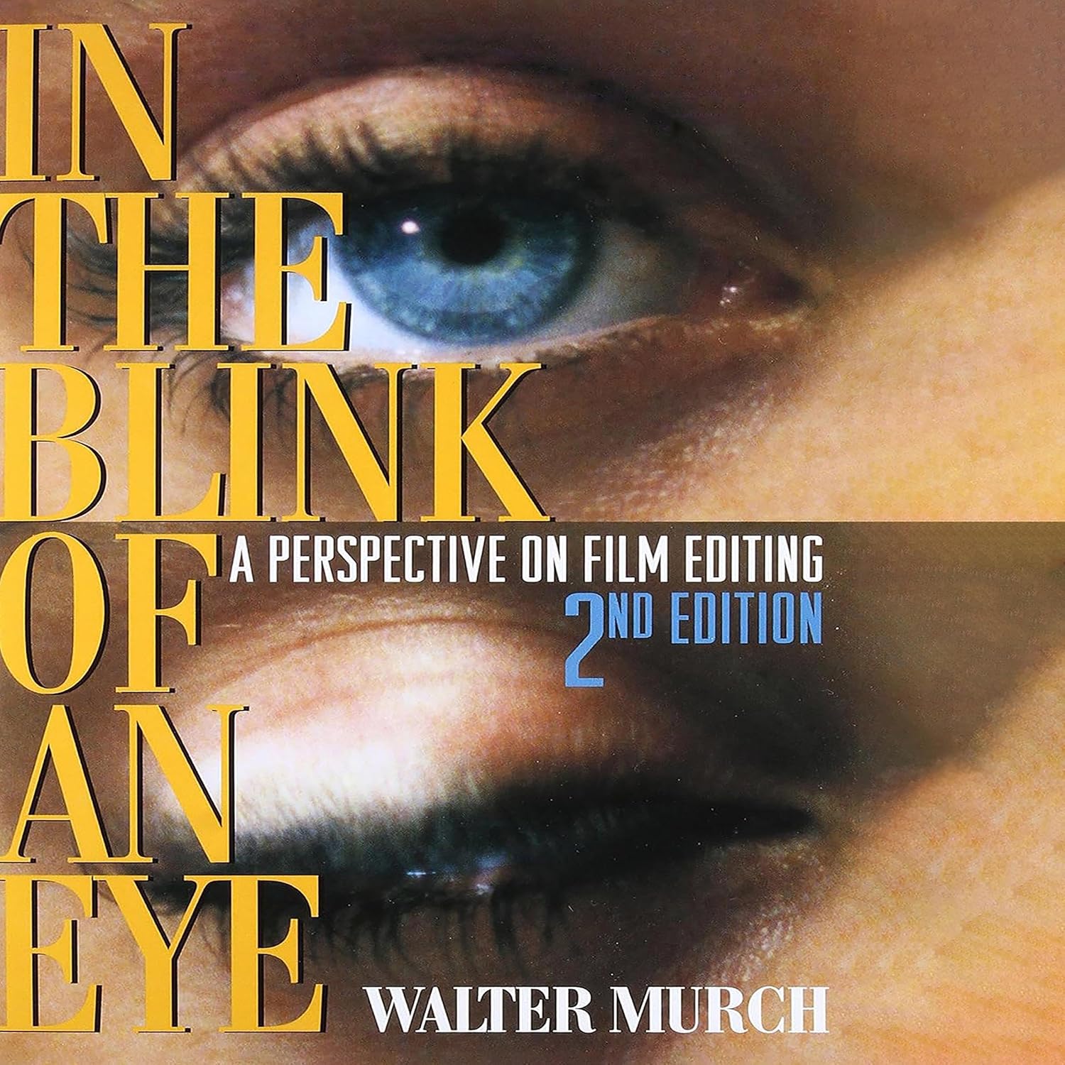 ler totalmente In the Blink of an Eye: A Perspective on Film Editing, 2nd Edition
