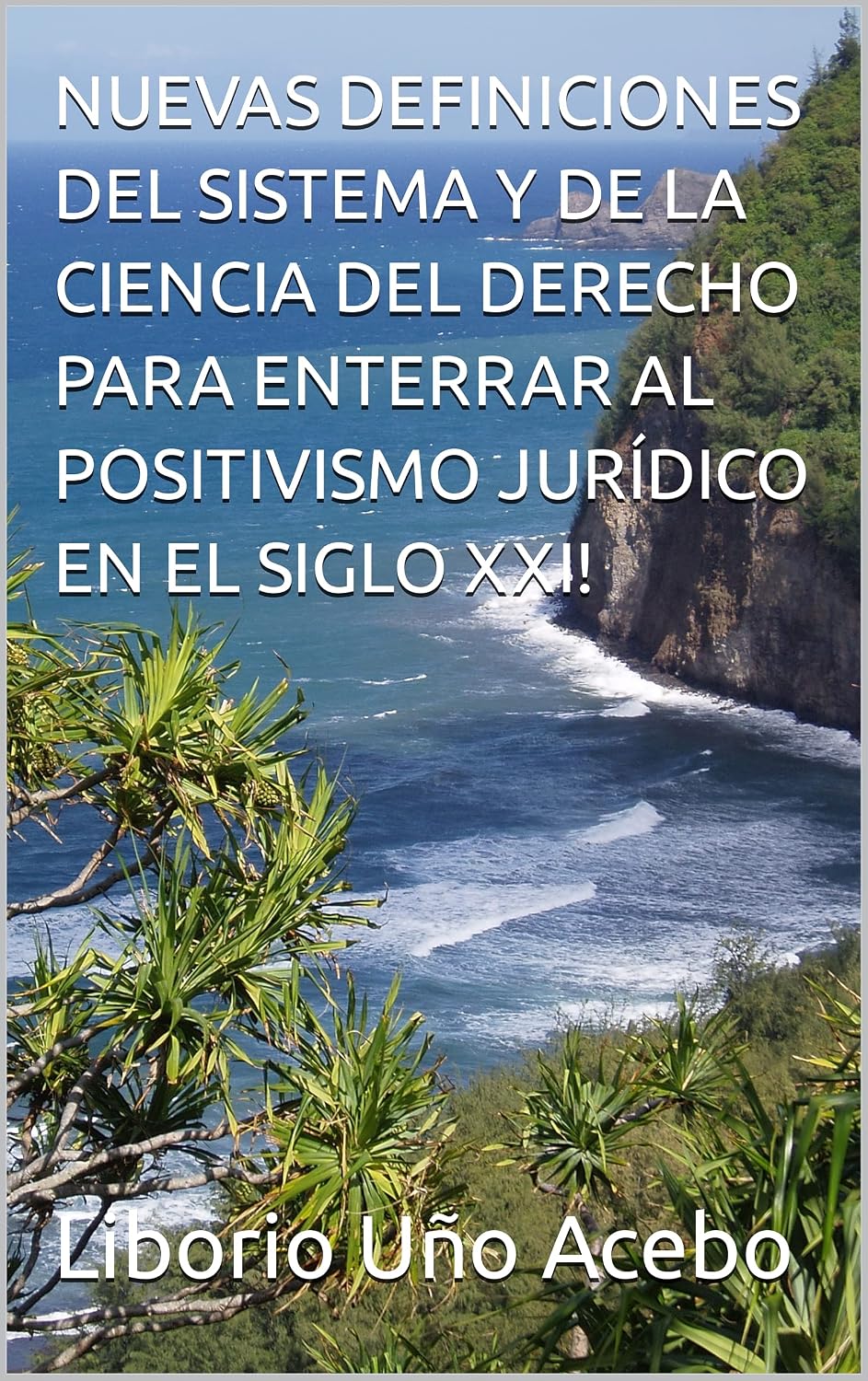 NUEVAS DEFINICIONES DEL SISTEMA Y DE LA CIENCIA DEL DERECHO PARA ENTERRAR AL POSITIVISMO JURÍDICO EN EL SIGLO XXI! (Spanish Edition) baixar livro de graça