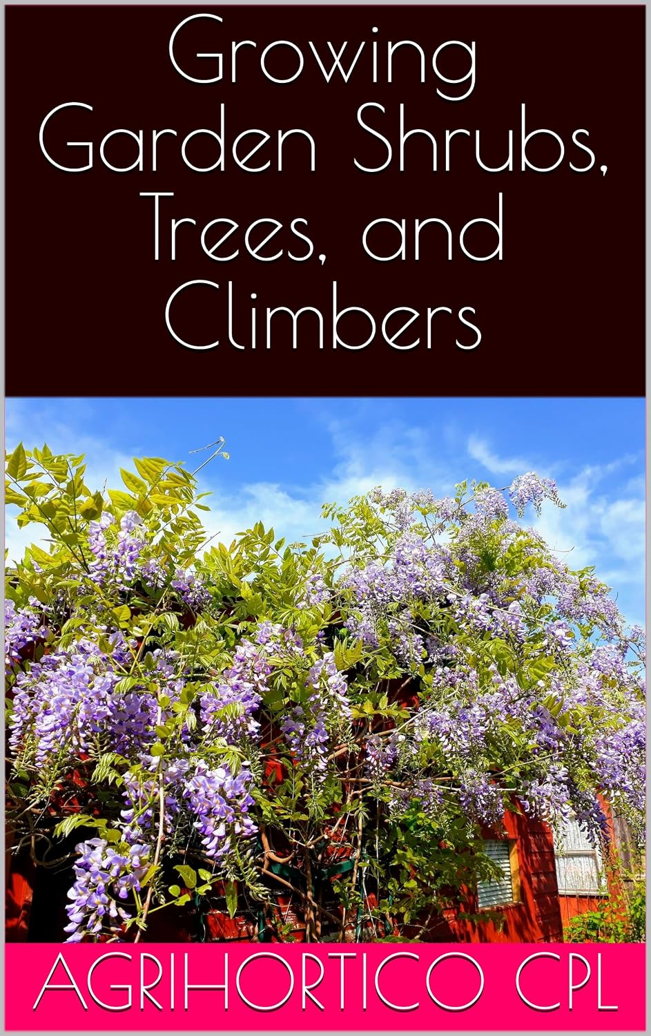Growing Garden Shrubs, Trees, and Climbers (Presentations on Home Gardening Book 12) (English Edition) baixar o livro de graça