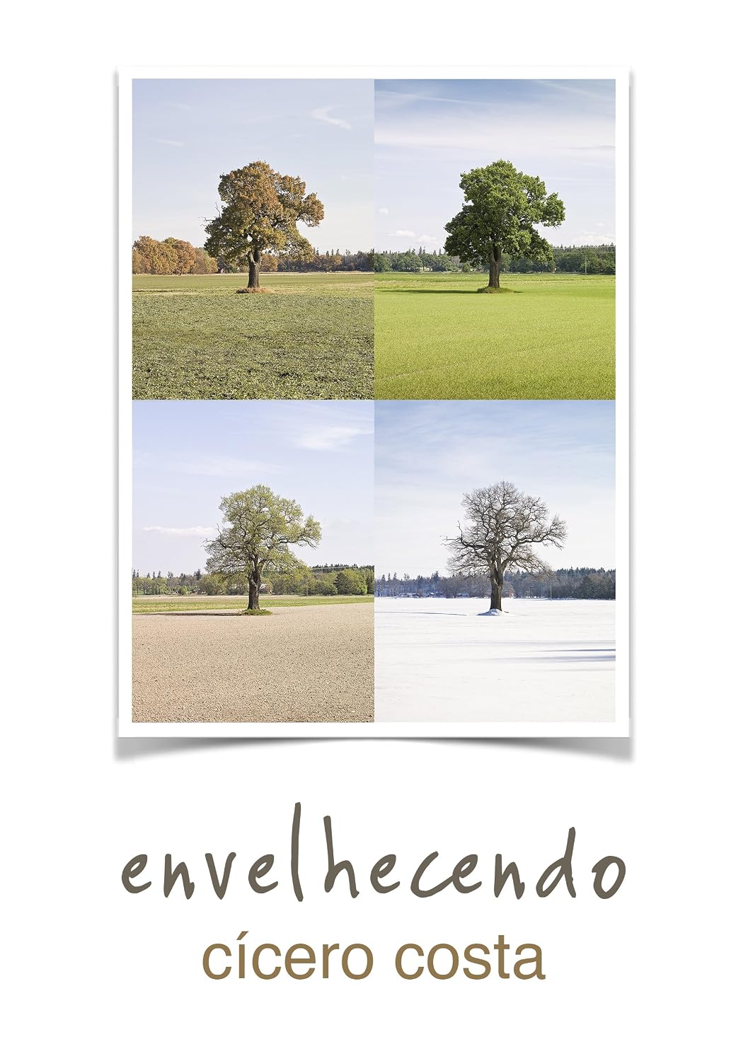 Envelhecendo baixar livro de graça