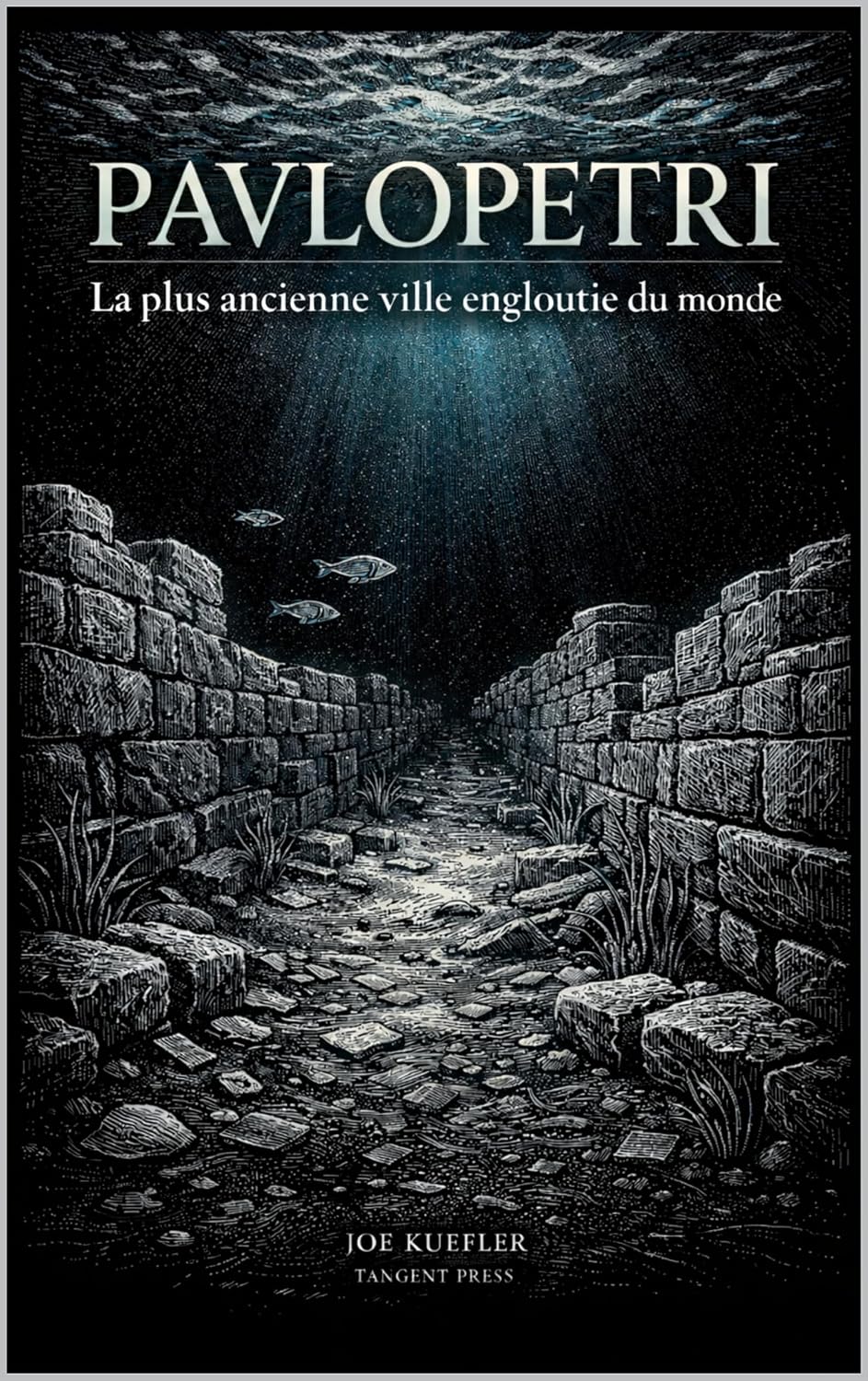 capítulo por capítulo baixar PAVLOPETRI: La plus ancienne ville engloutie du monde (French Edition)