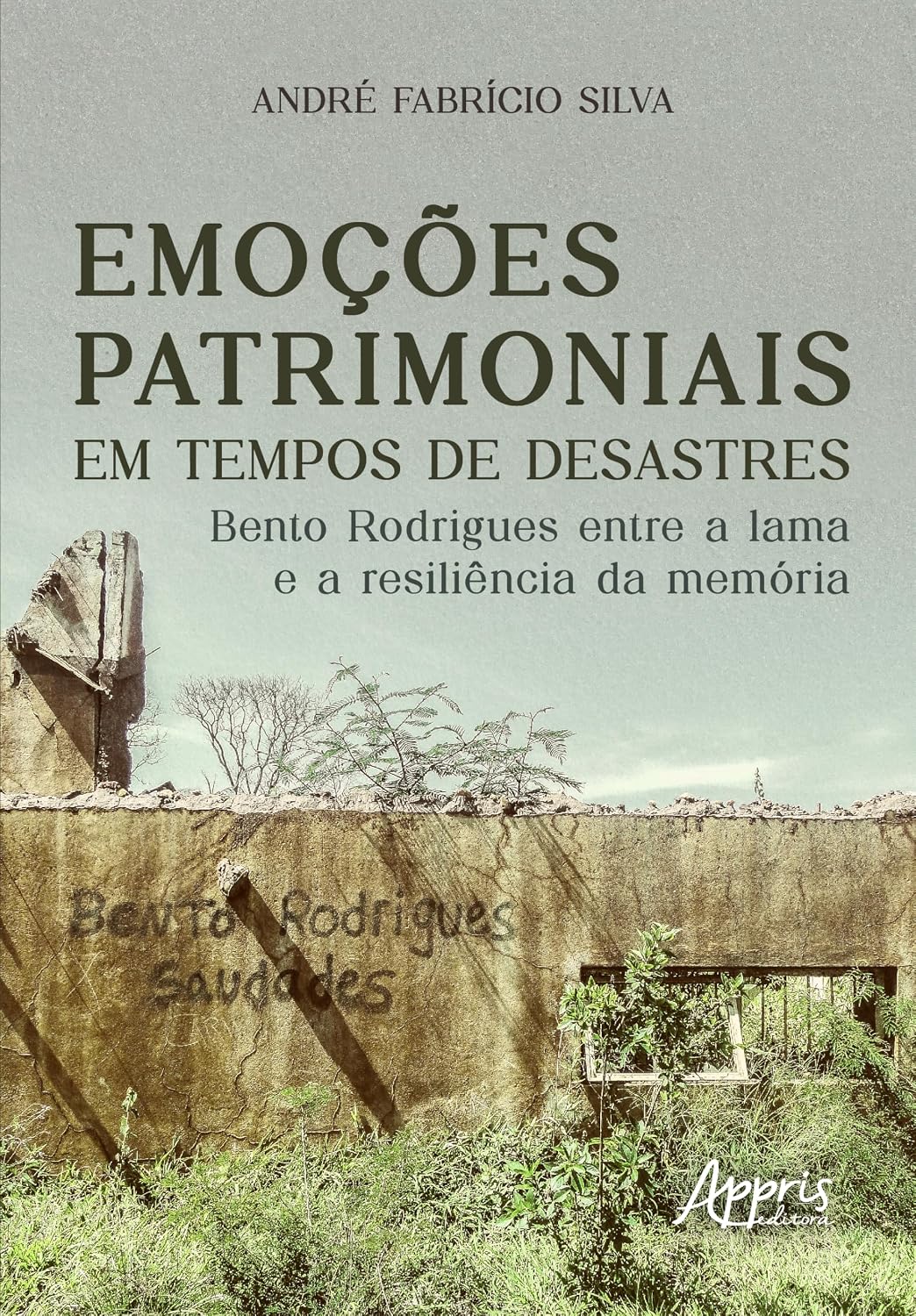 Emoções Patrimoniais em Tempos de Desastres:: Bento Rodrigues Entre a Lama e a Resiliência da Memória baixar o livro de graça