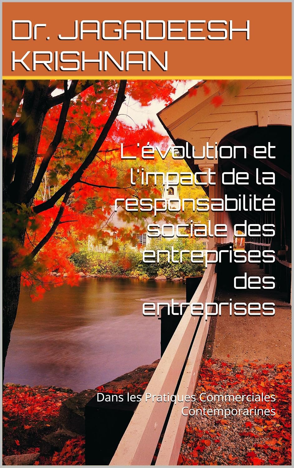 L'évolution et l'impact de la responsabilité sociale des entreprises des entreprises: Dans les Pratiques Commerciales Contemporarines (French Edition)