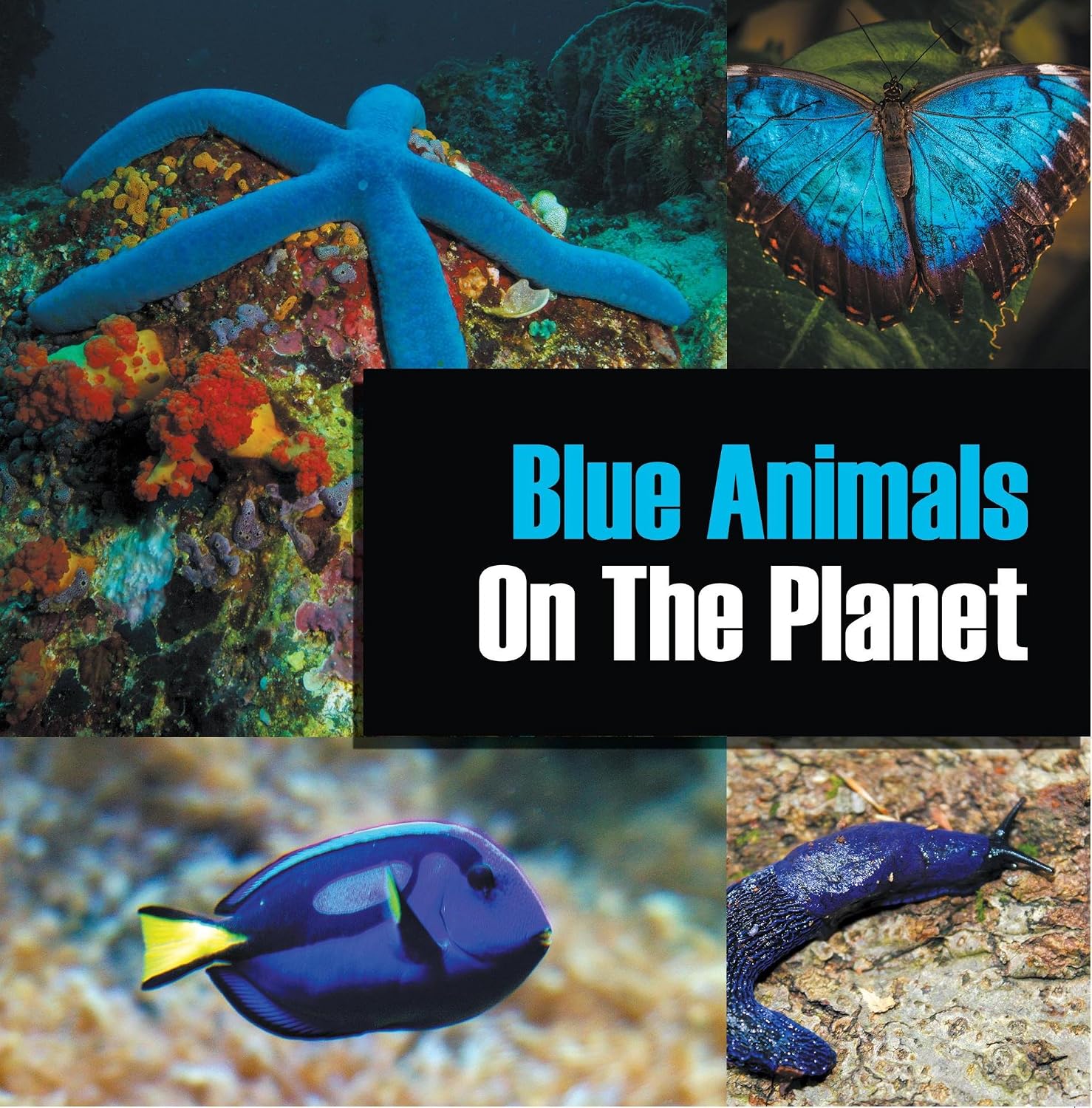 ler totalmente Blue Animals On The Planet: Animal Encyclopedia for Kids (Colorful Animals on the Planet Book 1) (English Edition)