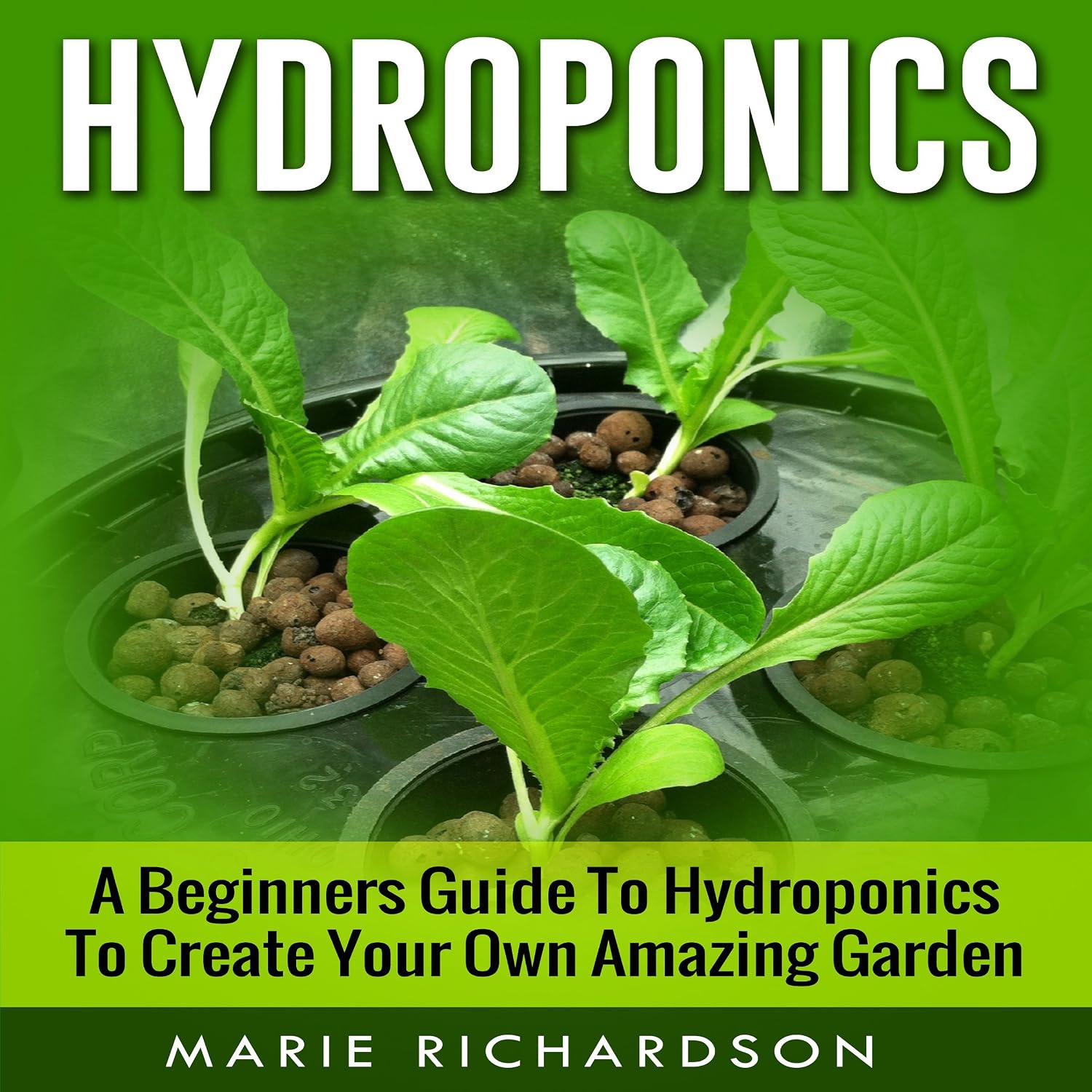 capítulo por capítulo baixar Hydroponics: A Beginners Guide to Hydroponics to Create Your Own Amazing Garden