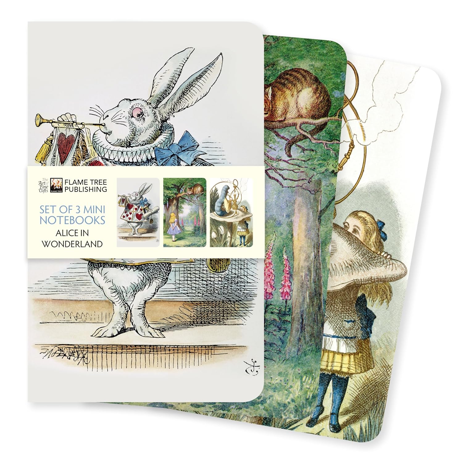 Alice in Wonderland Mini Notebook Collection baixar o livro de graça
