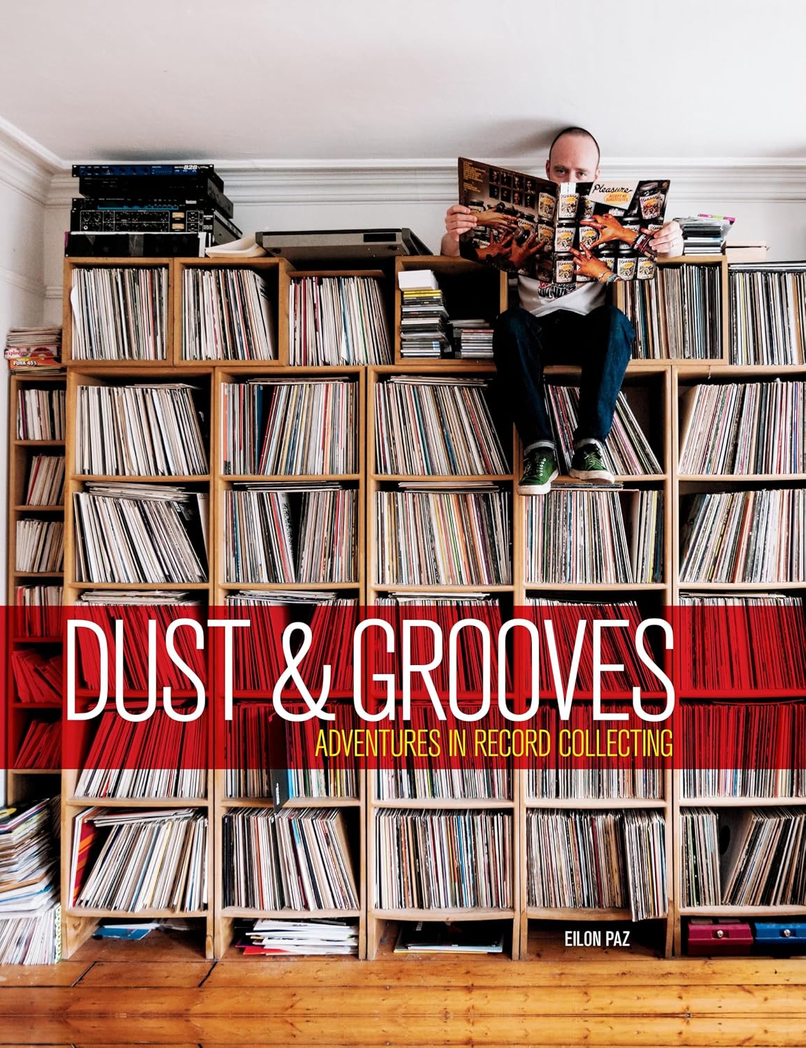 ler totalmente Dust & Grooves: Adventures in Record Collecting