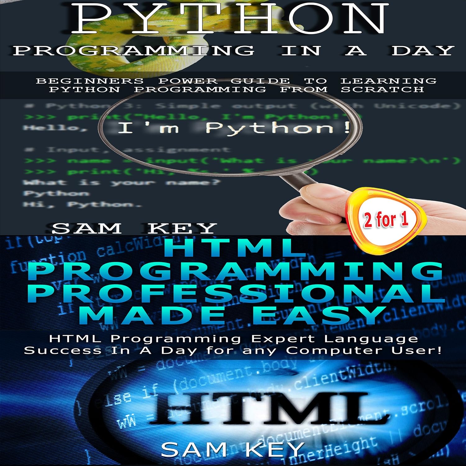 Python Programming in a Day & HTML Professional Programming Made Easy: Programming, Book 38 baixar livro de graça