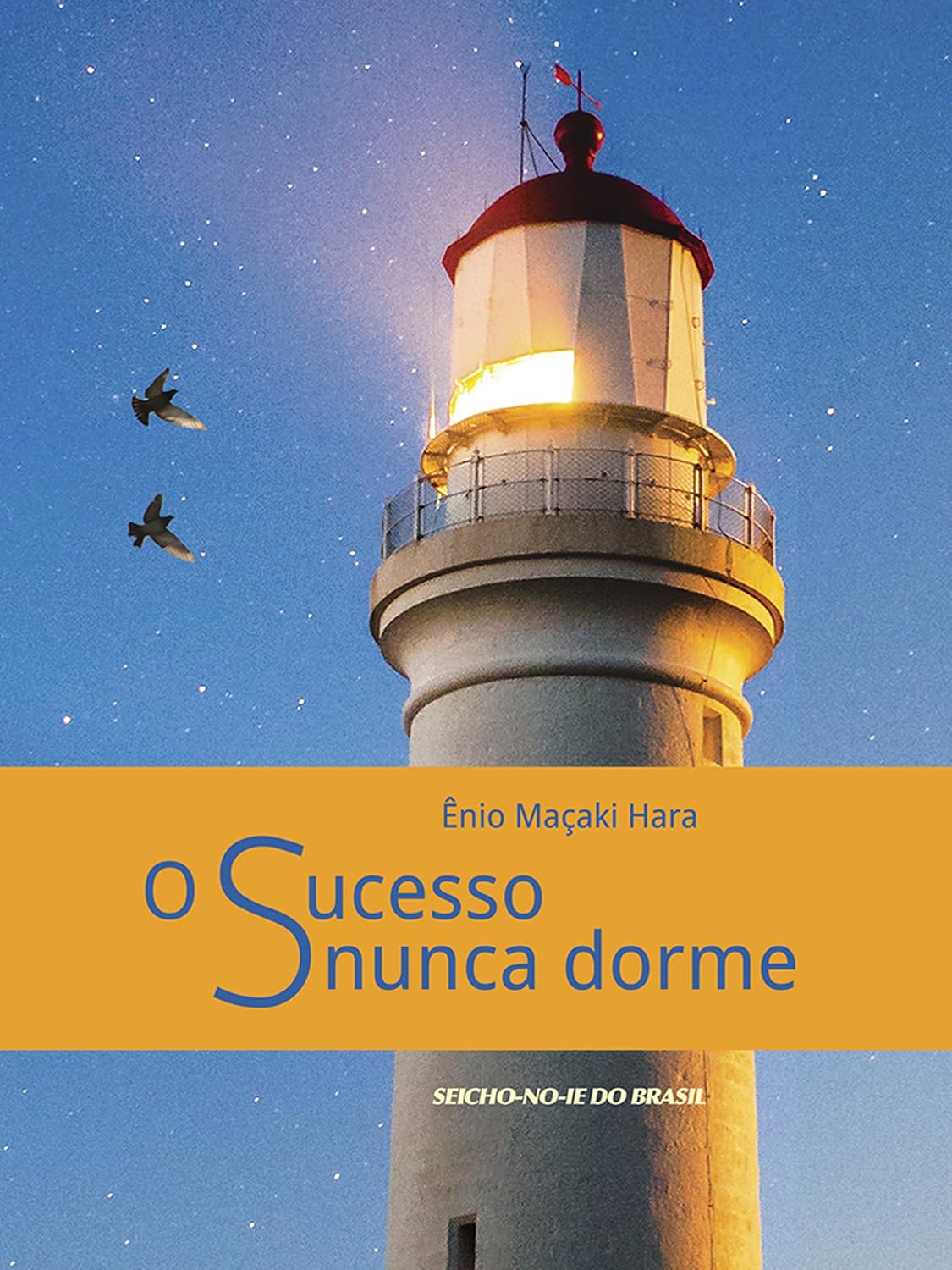 ler totalmente O Sucesso nunca dorme