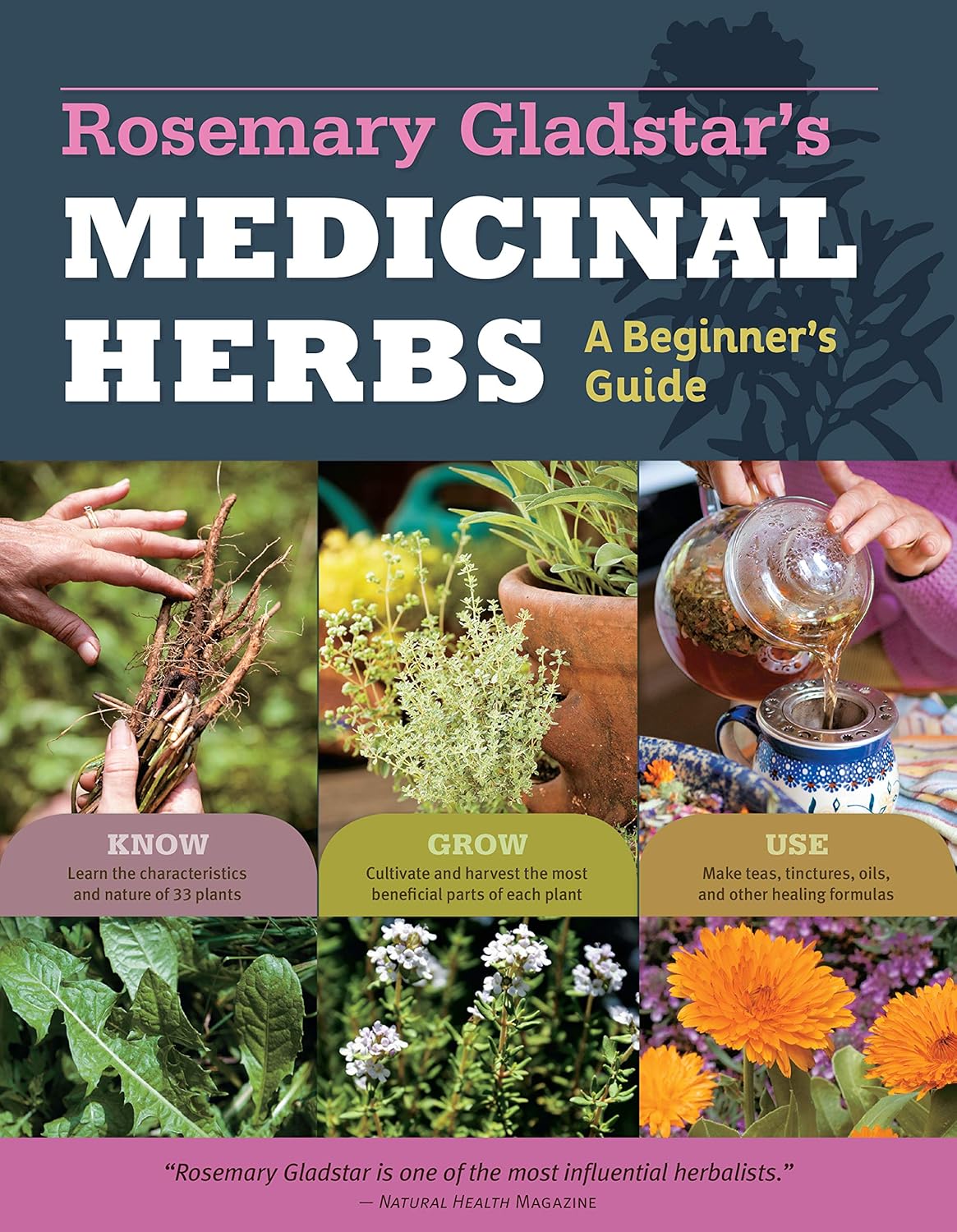 ler totalmente Rosemary Gladstar's Medicinal Herbs: A Beginner's Guide: 33 Healing Herbs to Know, Grow, and Use