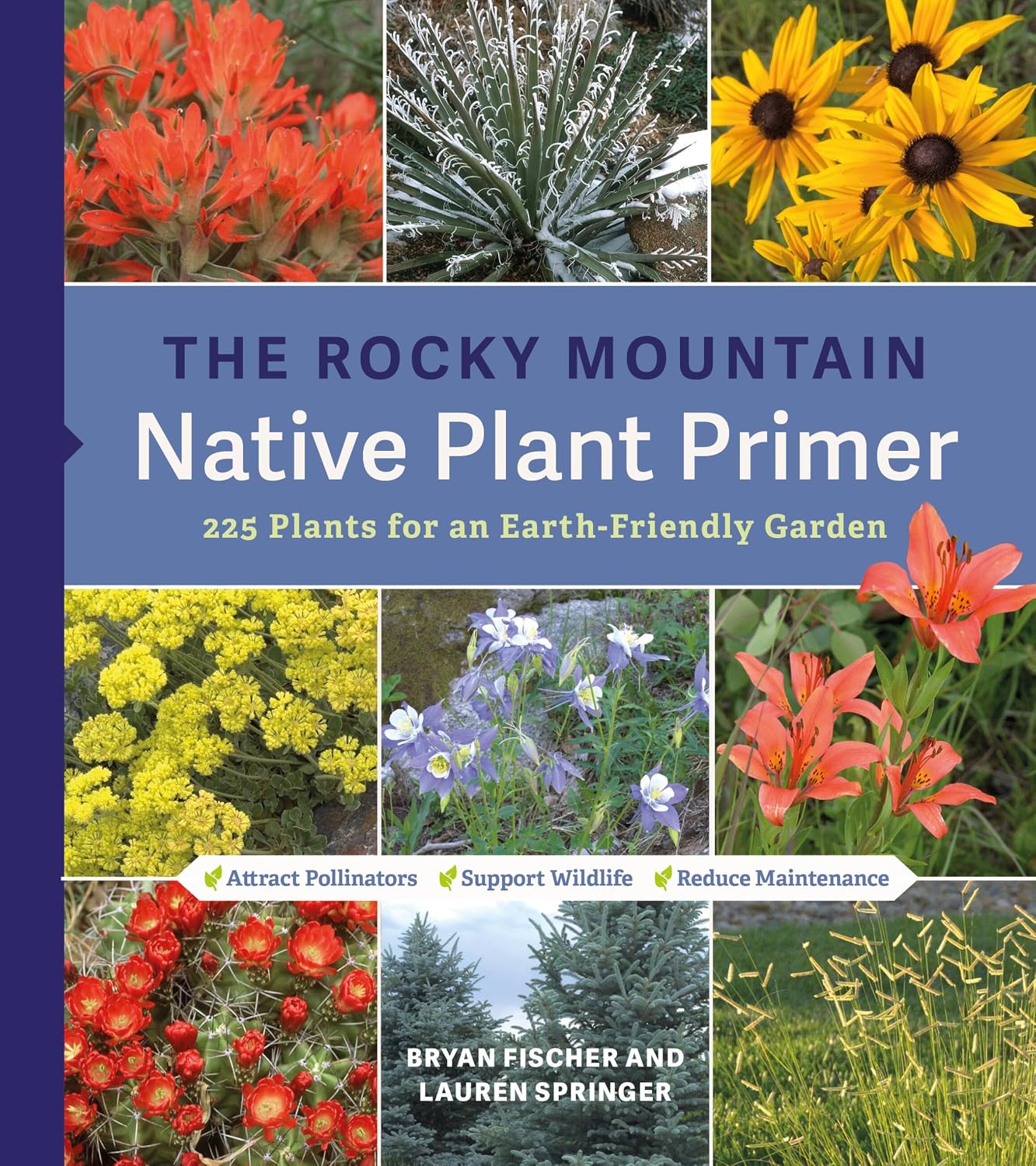 The Rocky Mountain Native Plant Primer: 225 Plants for an Earth-Friendly Garden (English Edition) baixar o livro de graça