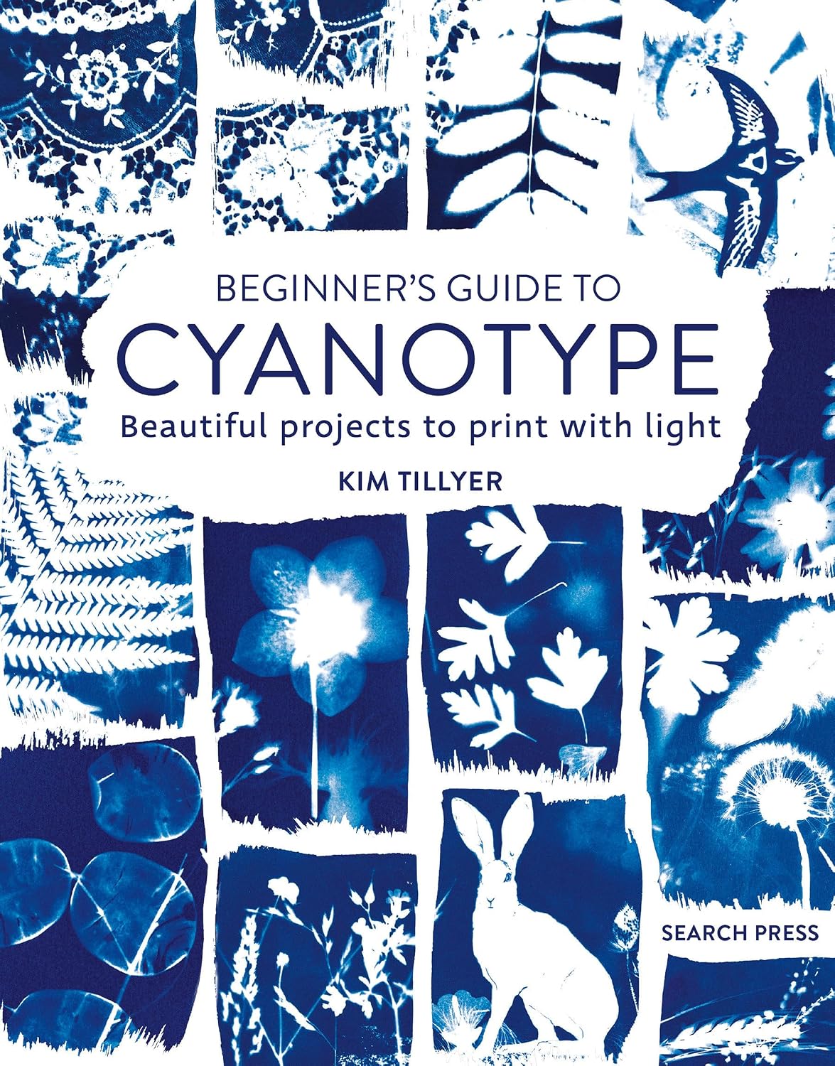 ler totalmente Beginner's Guide to Cyanotype: Beautiful Projects to Print with Light