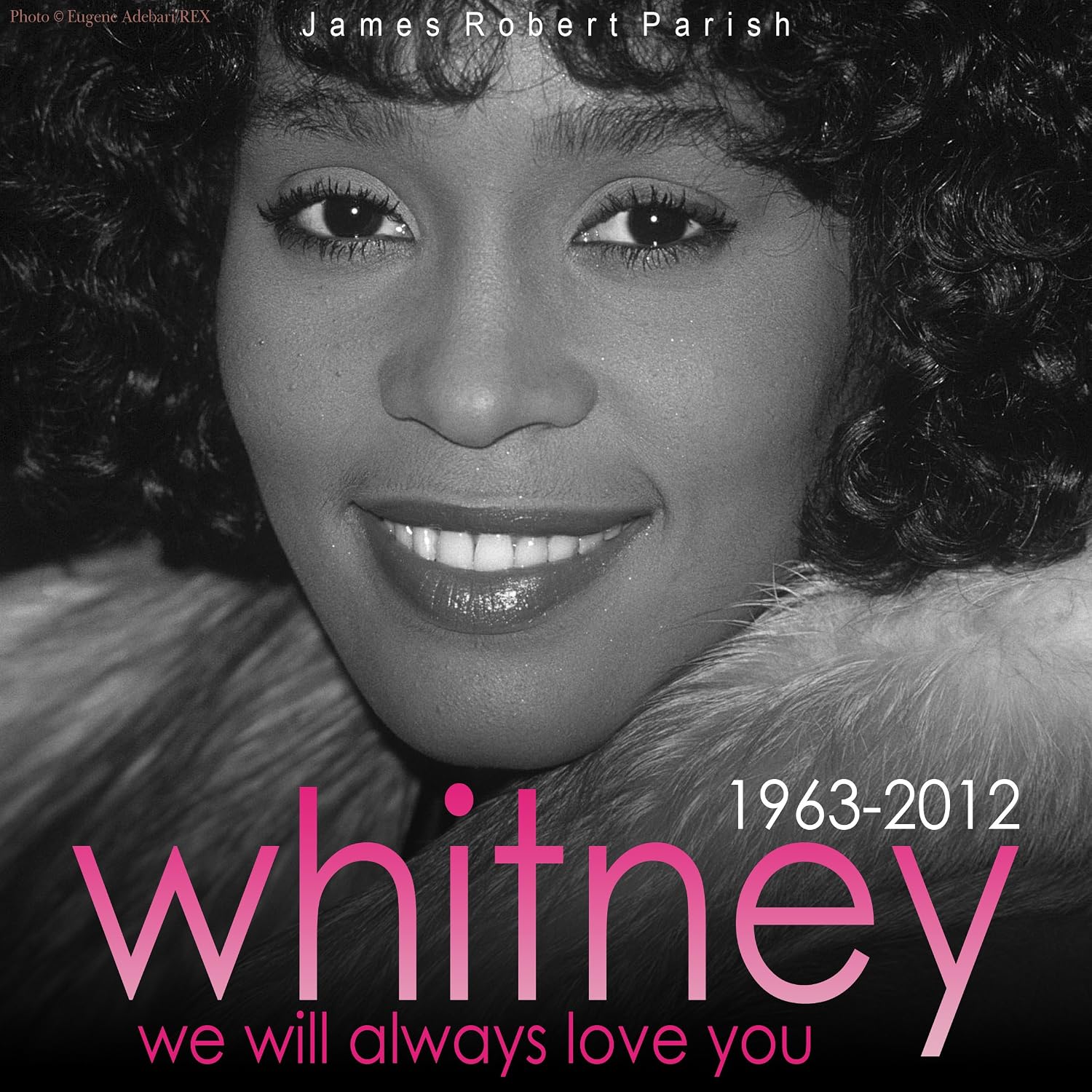 capítulo por capítulo baixar Whitney: We Will Always Love You