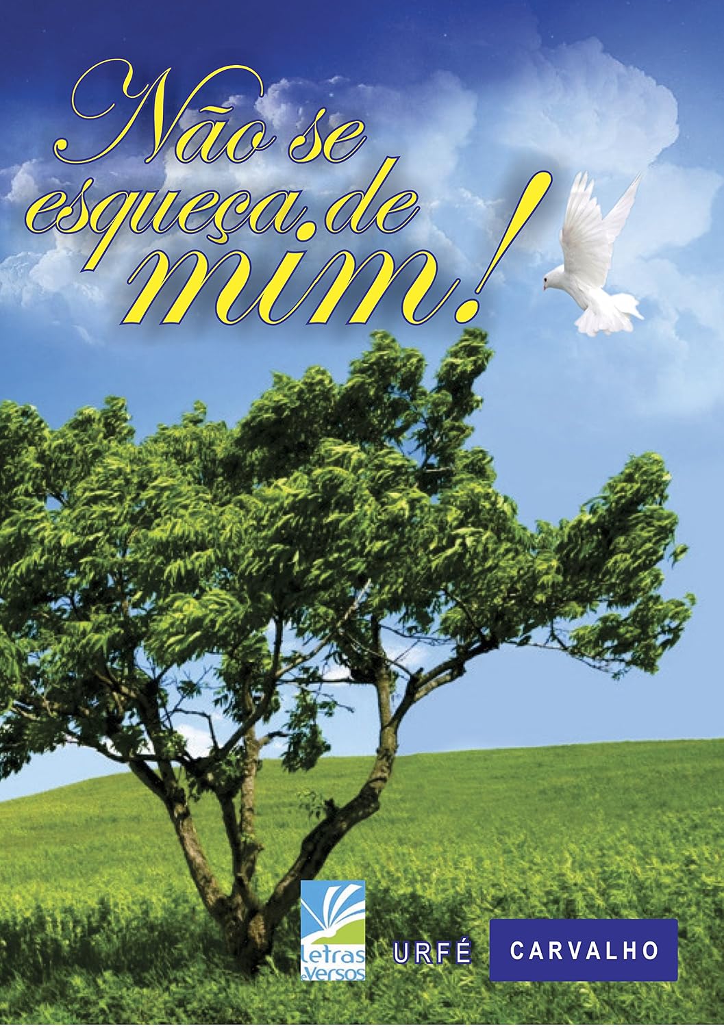 Não se esqueça de mim! baixar o livro de graça
