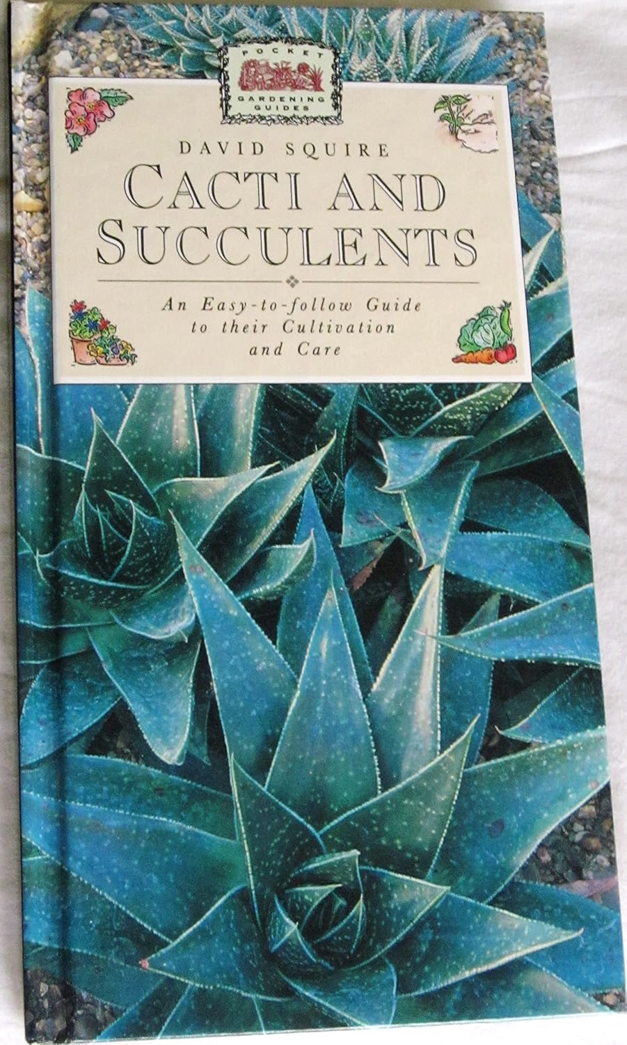 ler totalmente Cacti and Succulents: An East-to-follow Guide to Their Cultivation and Care