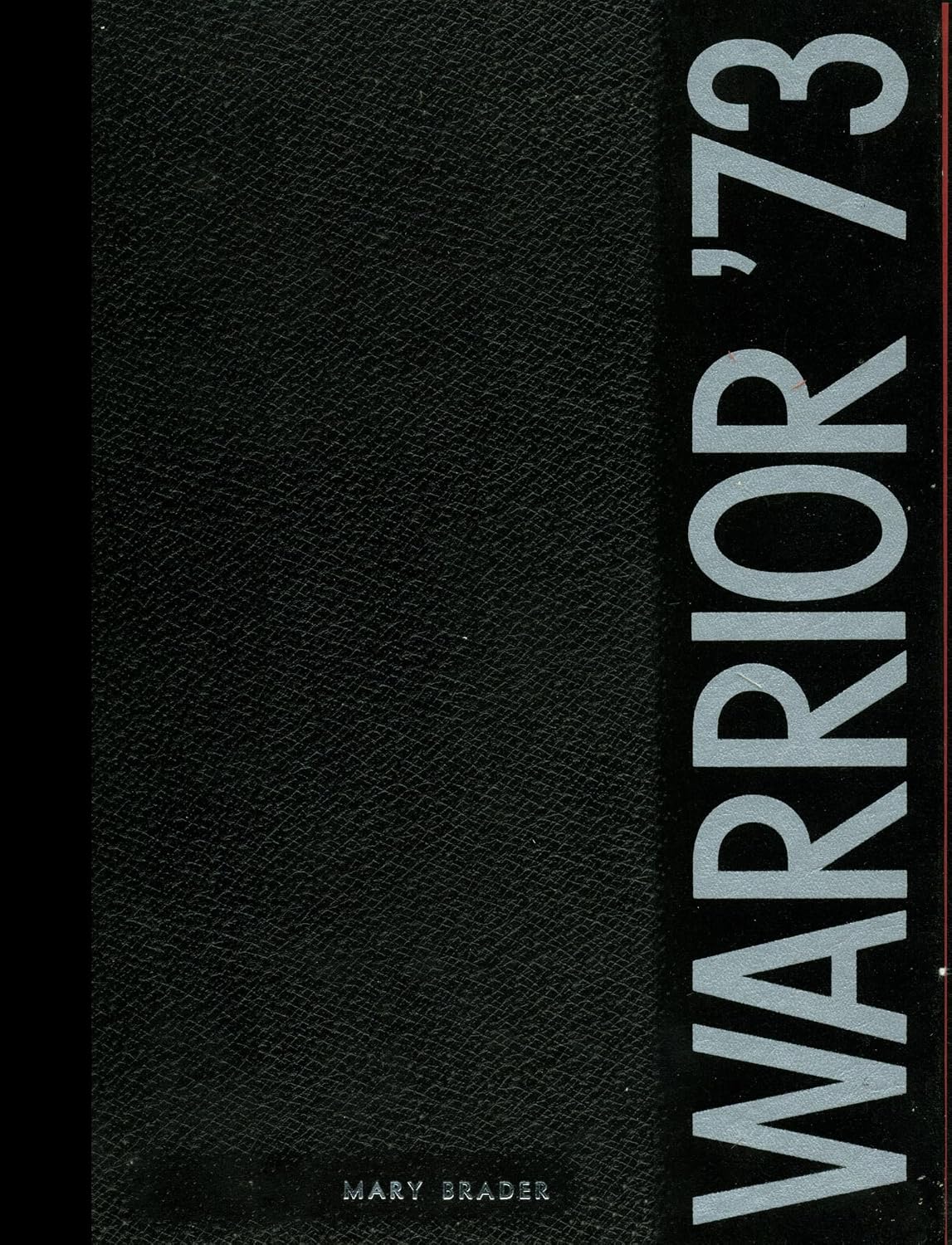 (Reprint) 1973 Yearbook: Chenango Valley High School, Binghamton, New York