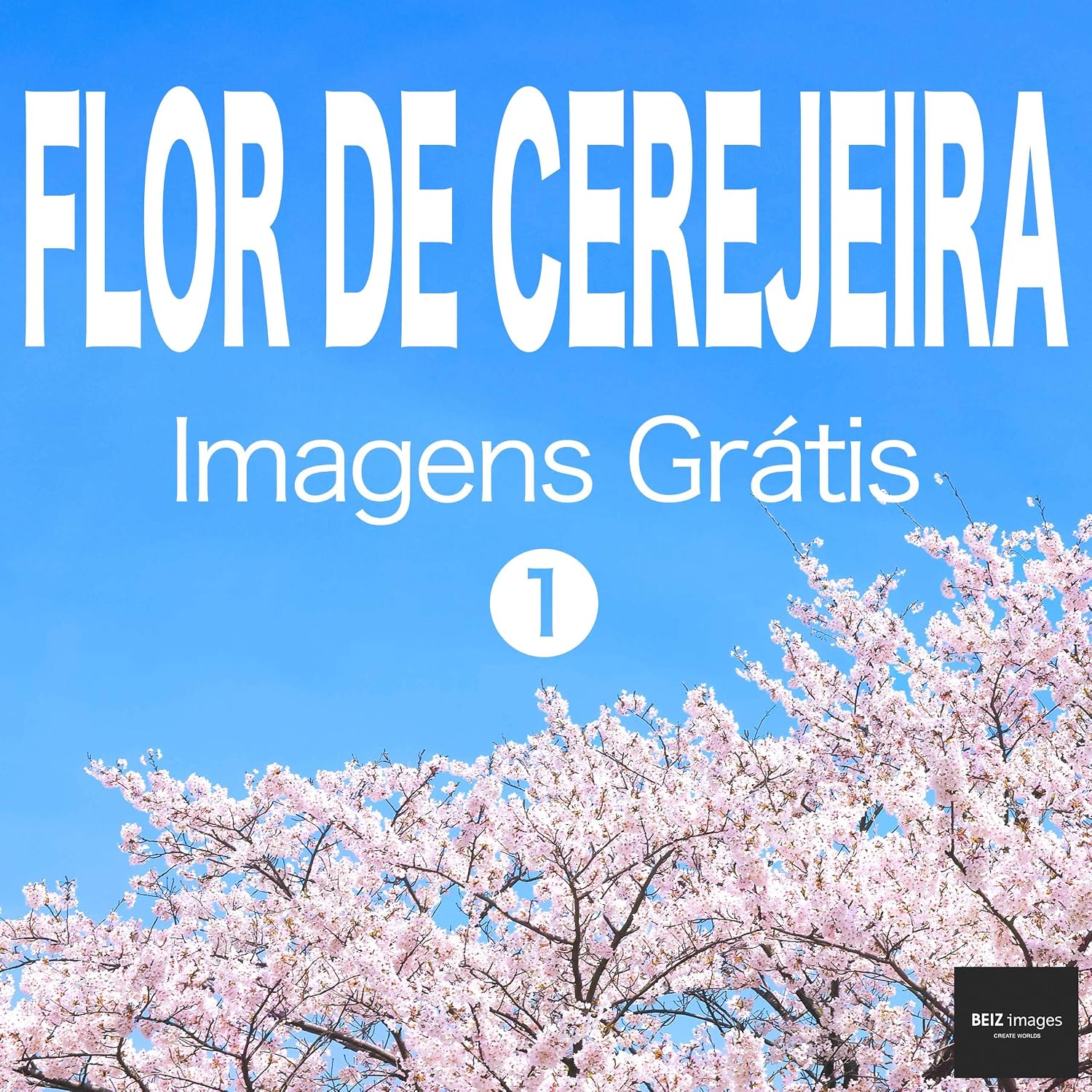 FLOR DE CEREJEIRA Imagens Grátis 1 BEIZ images - Fotos Grátis baixar livro de graça