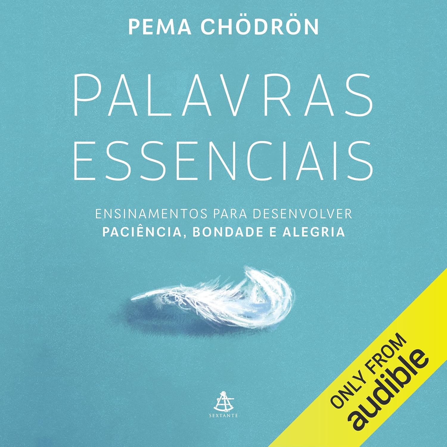 Palavras essenciais: Ensinamentos para desenvolver paciência, bondade e alegria baixar o livro de graça