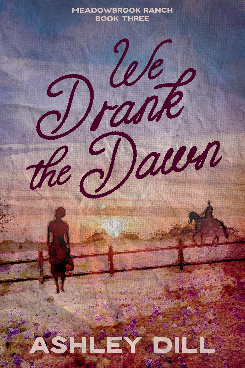 ler totalmente We Drank the Dawn: An Emotional, Second Chance, Marriage in Crisis (Meadowbrook Ranch Book 3) (English Edition)