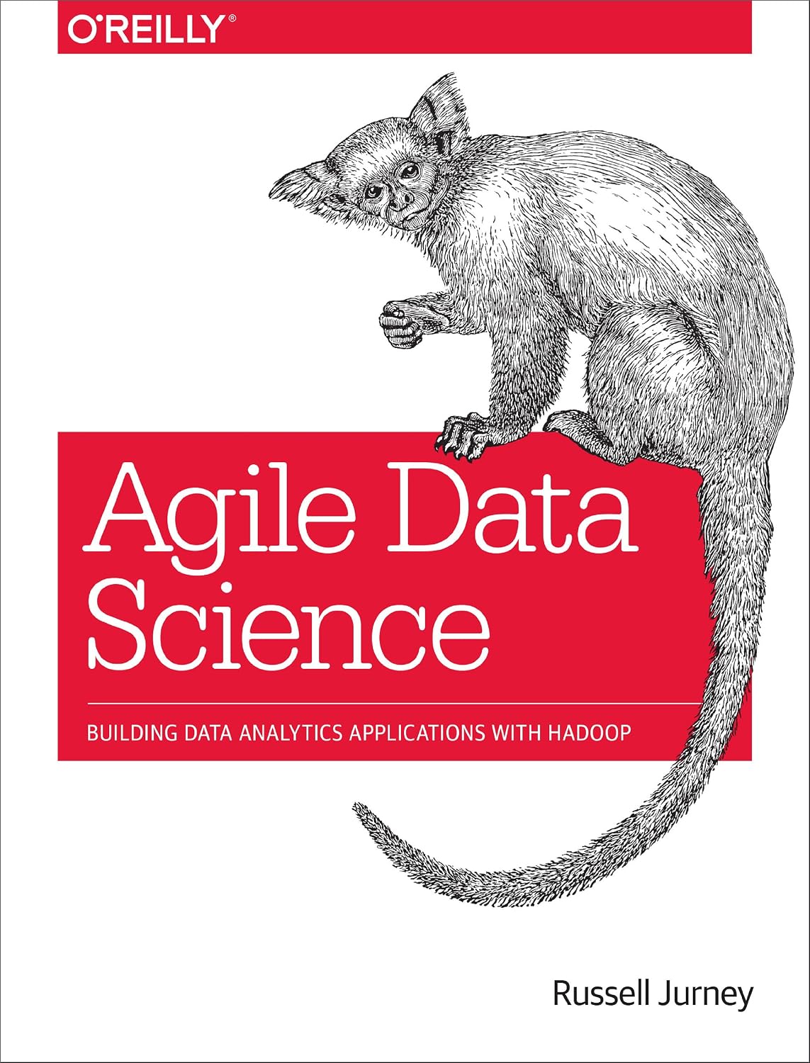Agile Data Science: Building Data Analytics Applications with Hadoop baixar livro de graça