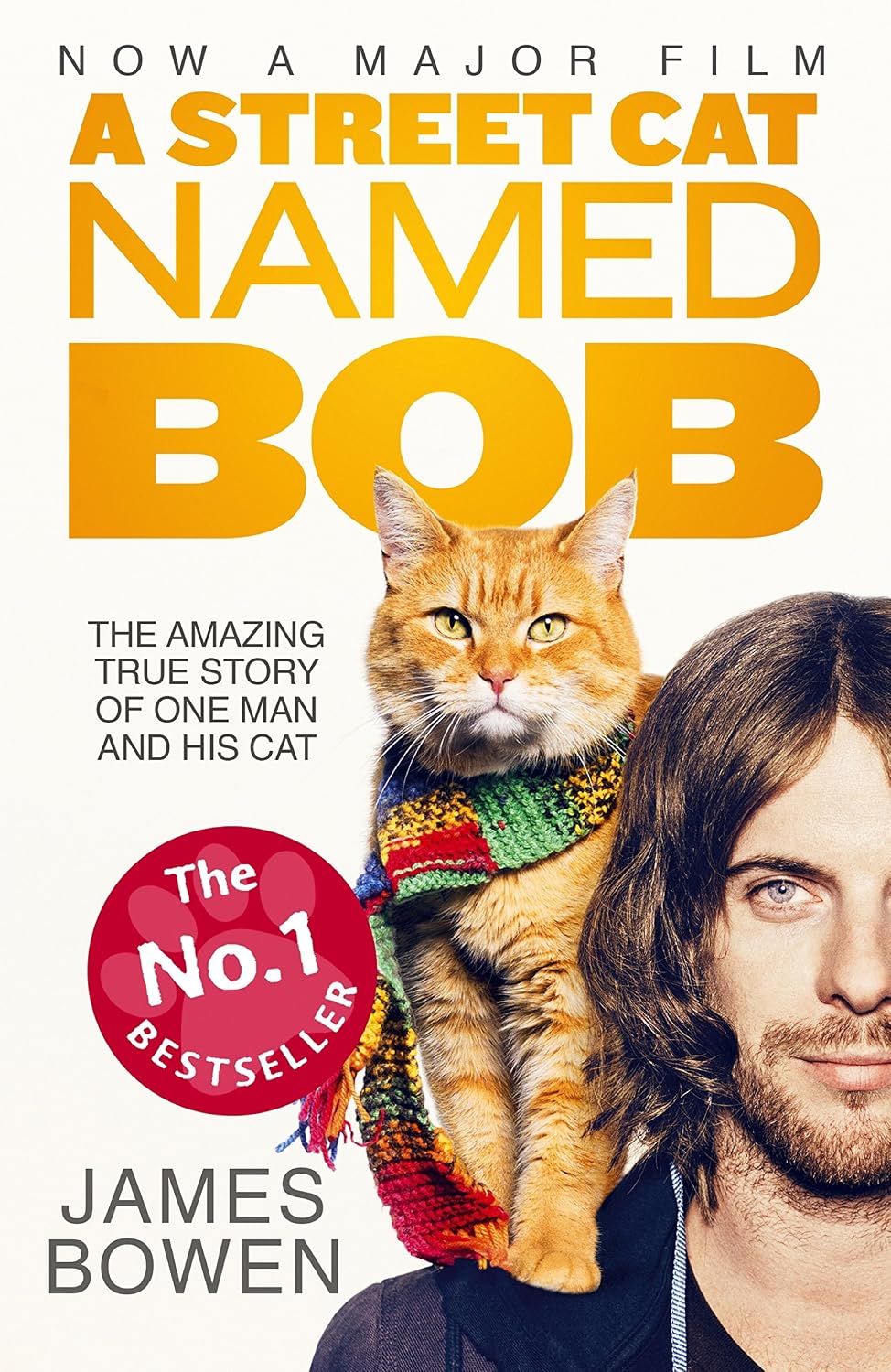 capítulo por capítulo baixar A Street Cat Named Bob: How one man and his cat found hope on the streets (English Edition)