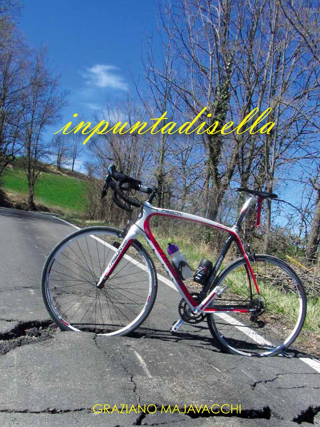 ler totalmente Inpuntadisella (Italian Edition)