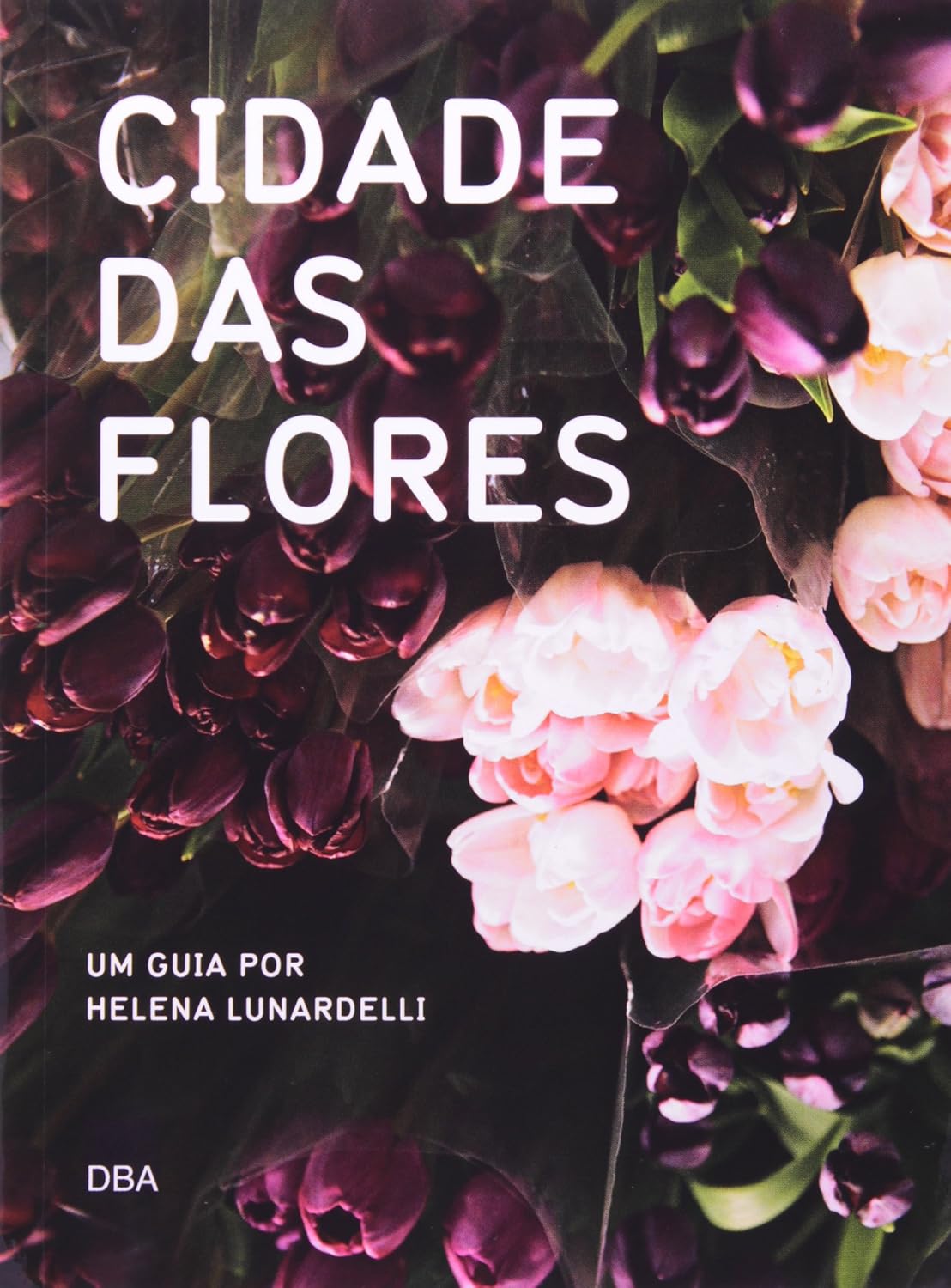 Cidade Das Flores baixar o livro de graça