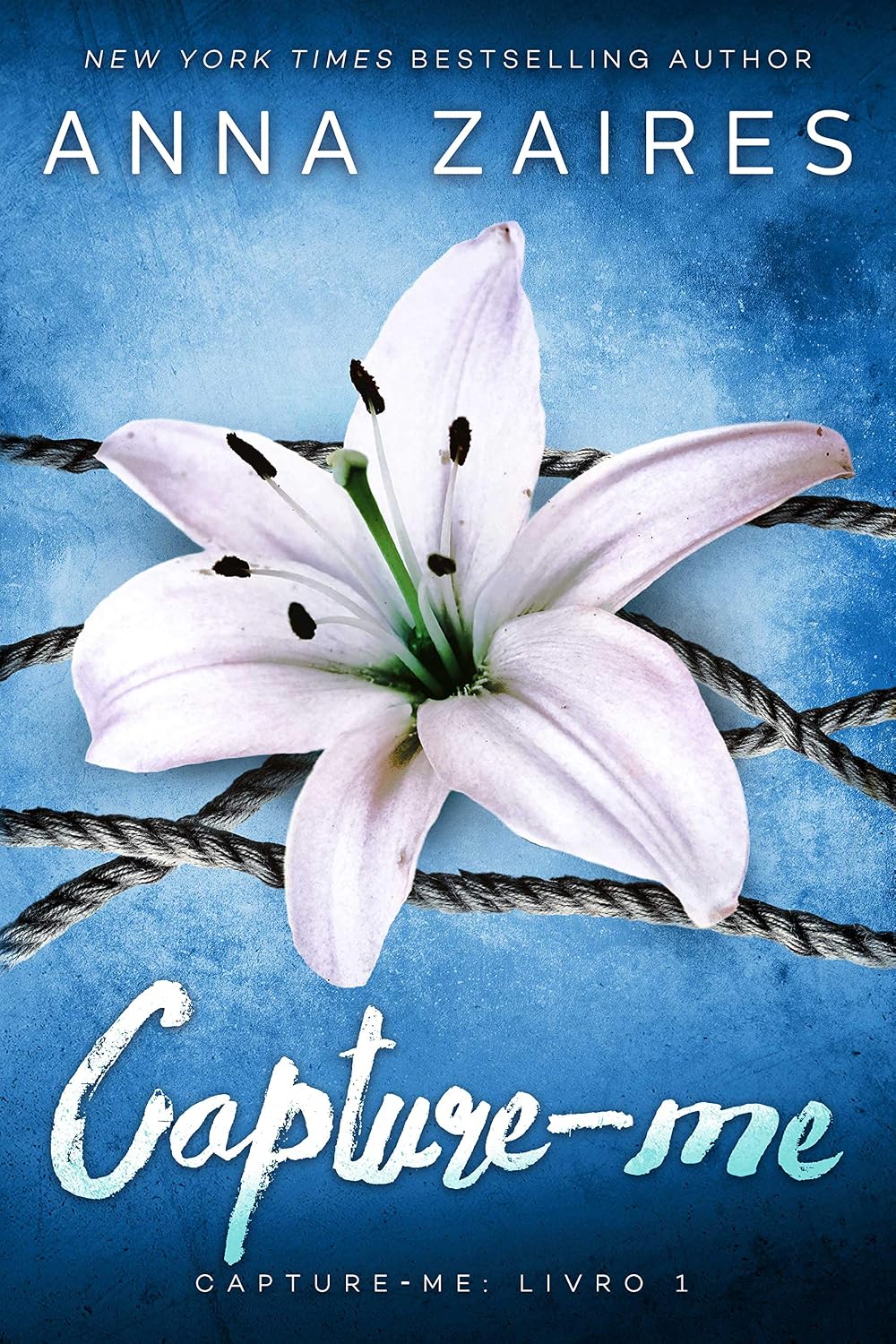 Capture-me baixar o livro de graça