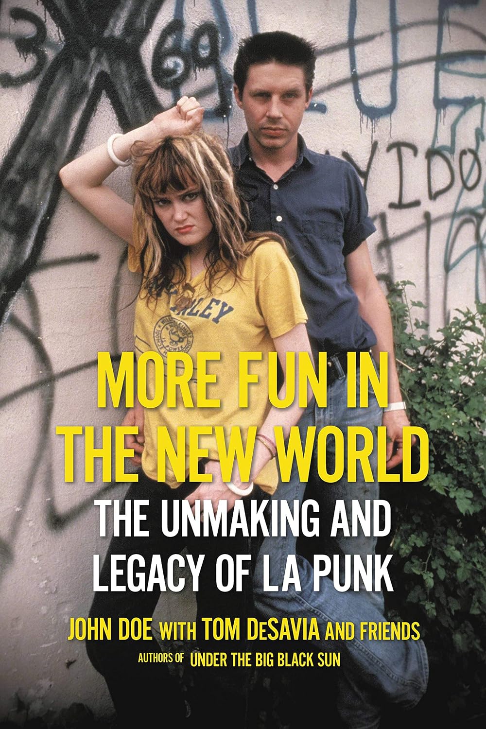 More Fun in the New World: The Unmaking and Legacy of L.A. Punk (English Edition) baixar o livro de graça