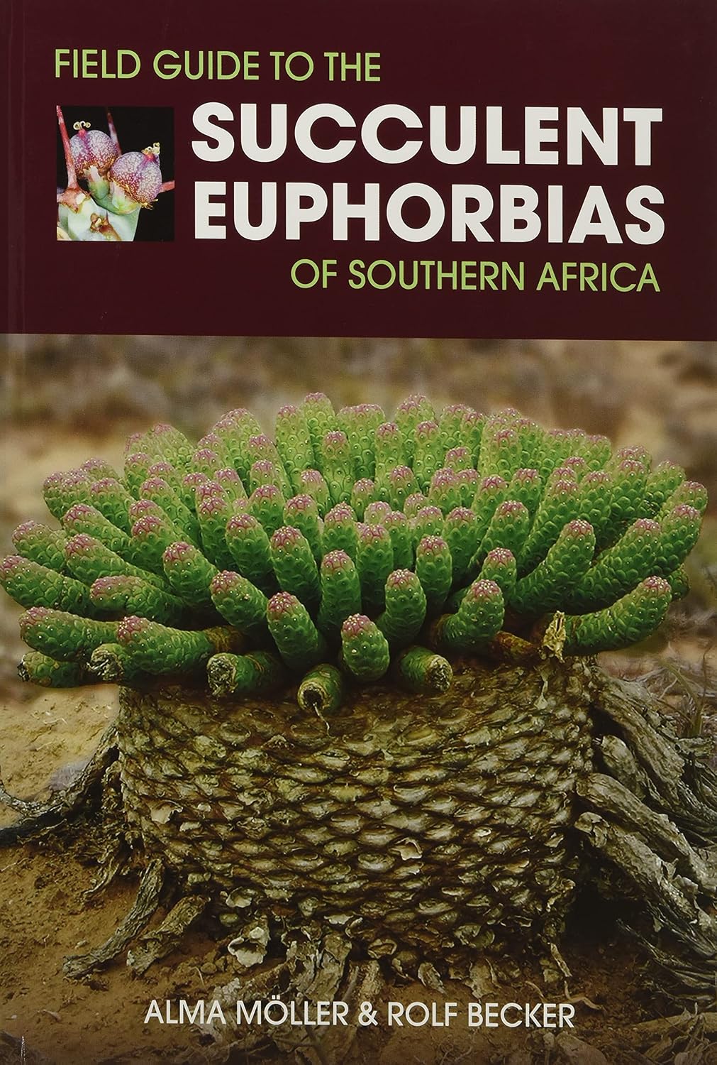 ler totalmente Field Guide to the Succulent Euphorbias of southern Africa