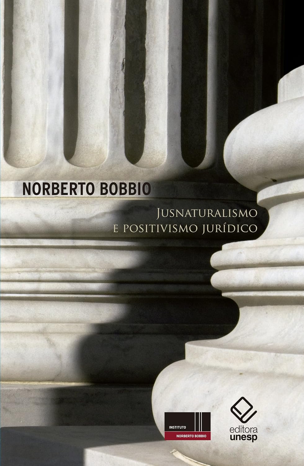 Jusnaturalismo e positivismo jurídico baixar livro de graça