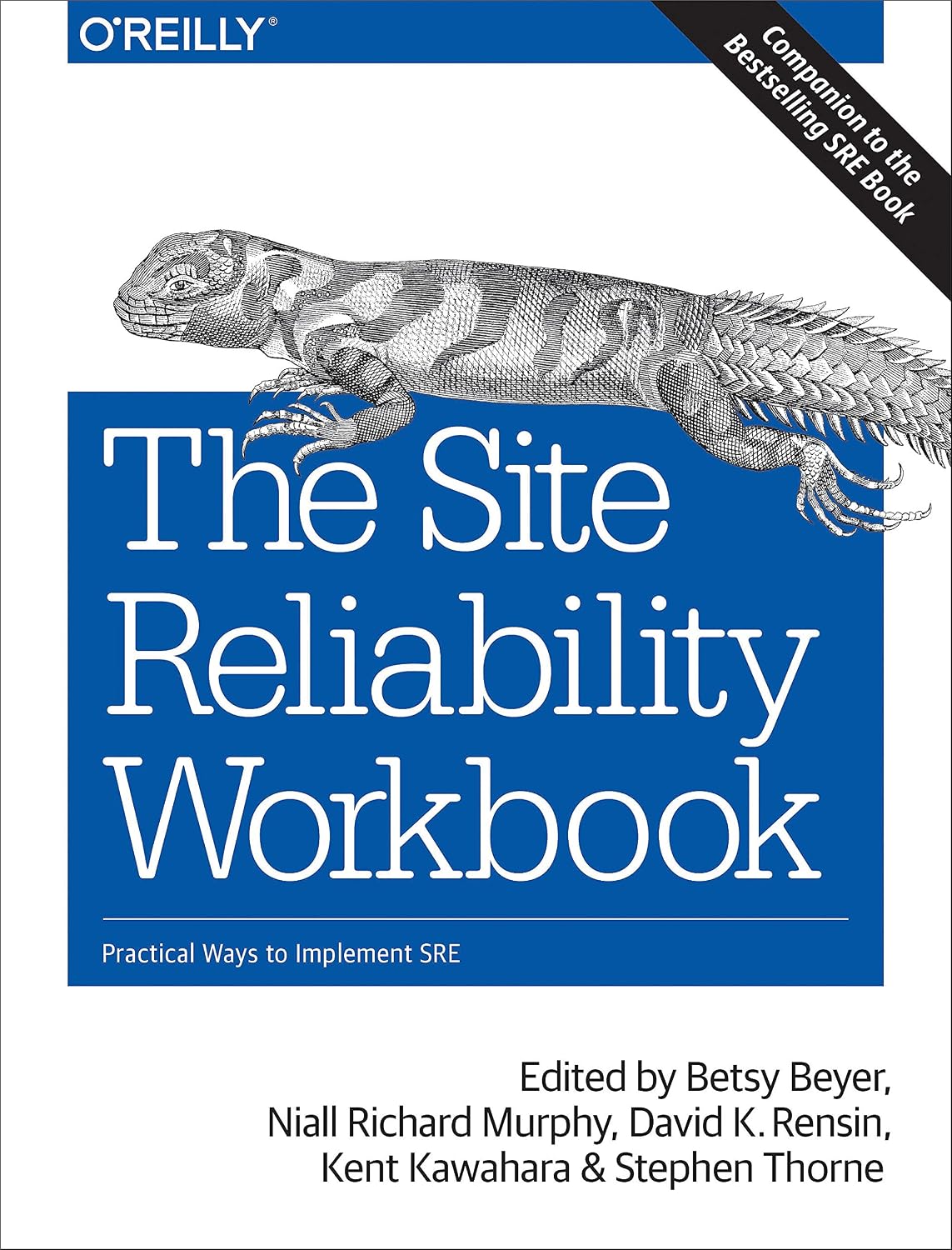 The Site Reliability Workbook: Practical Ways to Implement SRE (English Edition) baixar o livro de graça