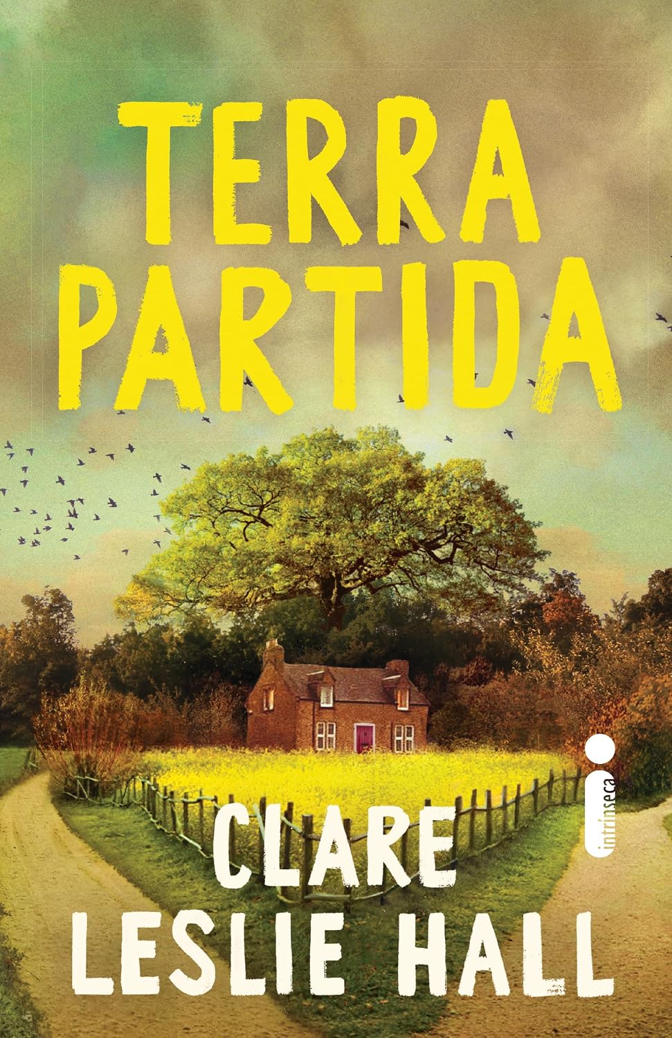 Terra partida baixar o livro de graça