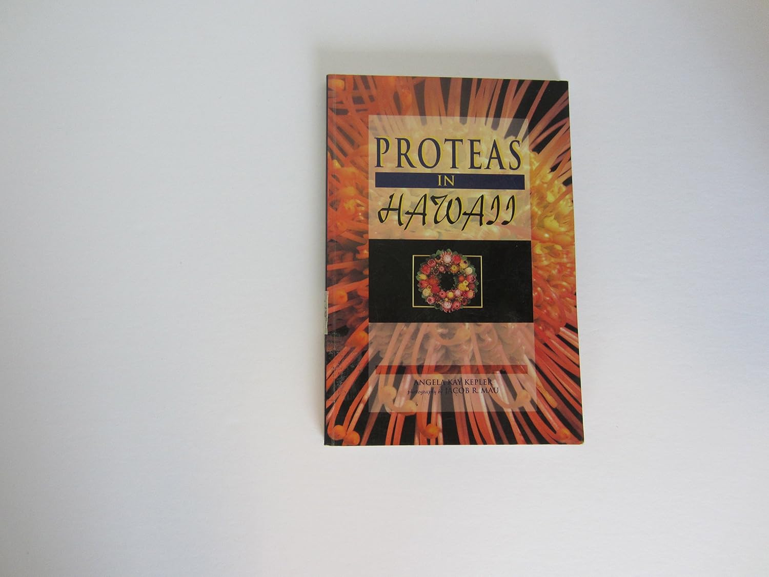 Protease in Hawaii baixar livro de graça