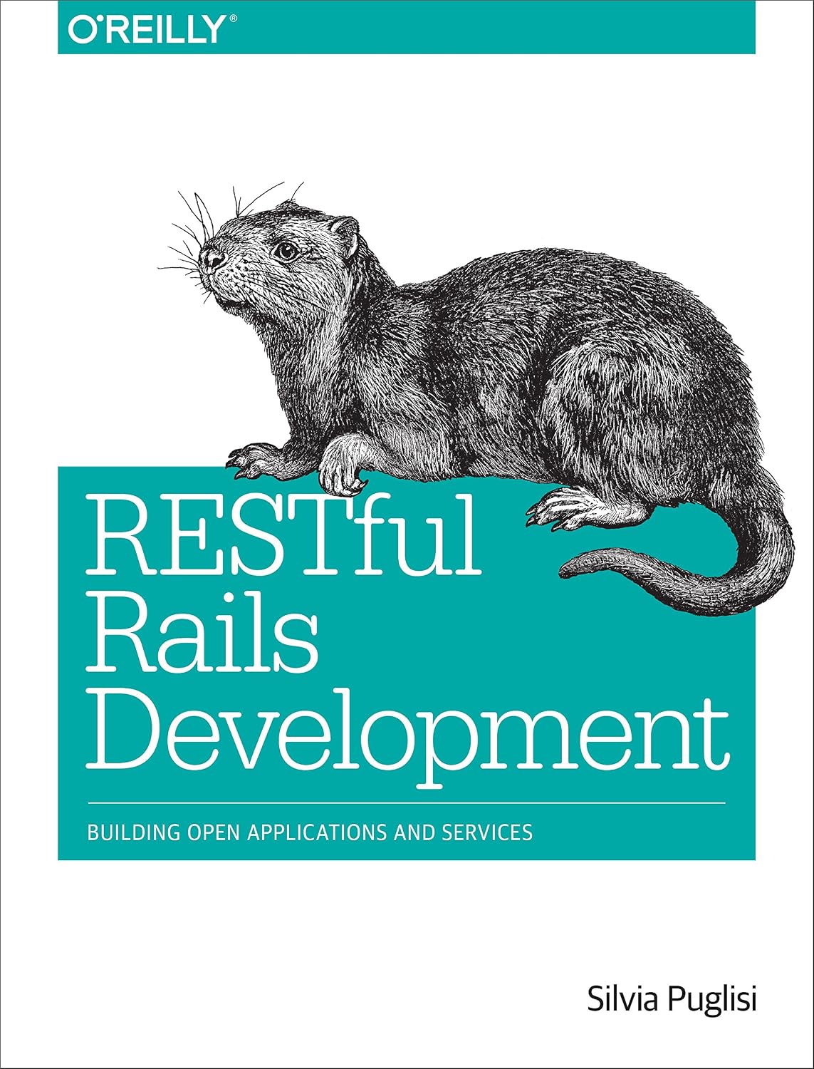 RESTful Rails Development: Building Open Applications and Services (English Edition) baixar o livro de graça
