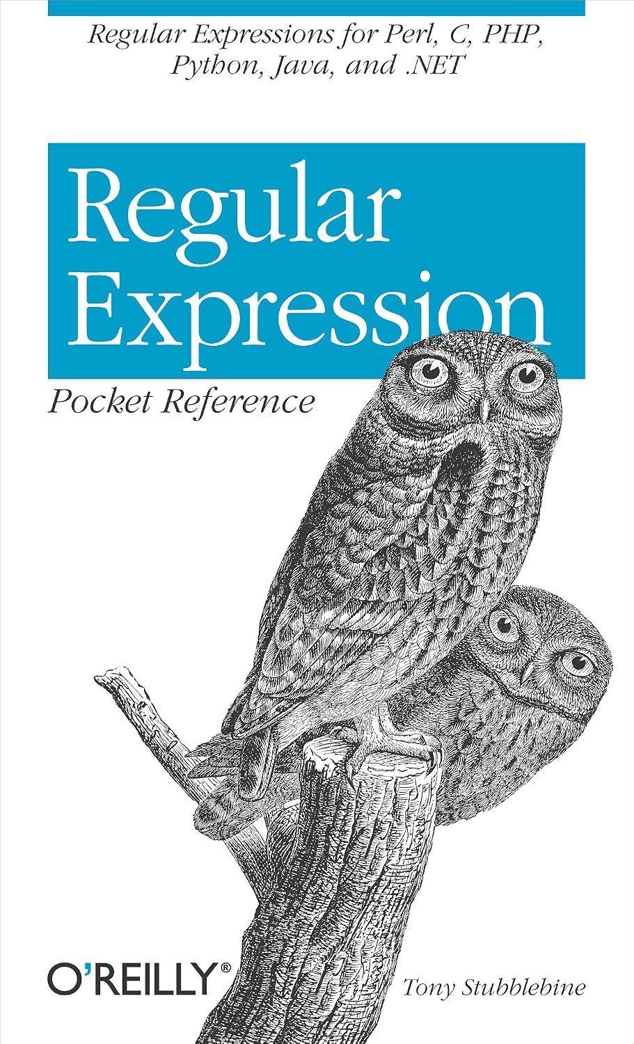 ler totalmente Regular Expression Pocket Reference (English Edition)