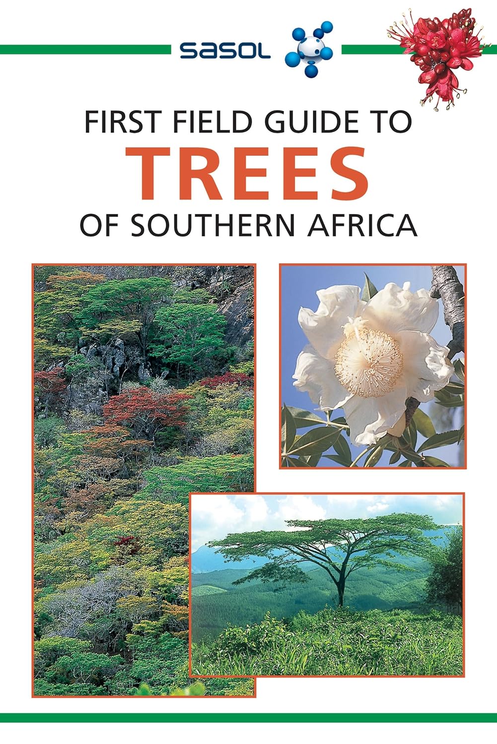Sasol First Field Guide to Trees of Southern Africa baixar livro de graça