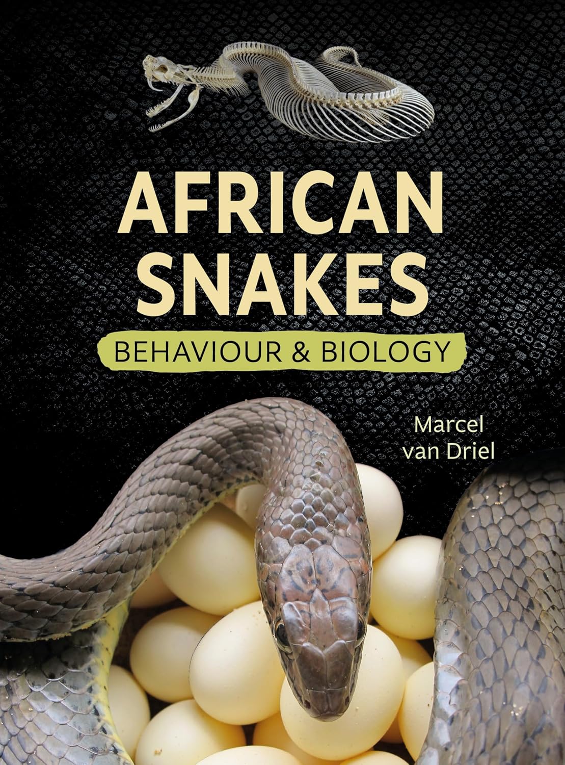 African Snakes: Behaviour and Biology (English Edition)