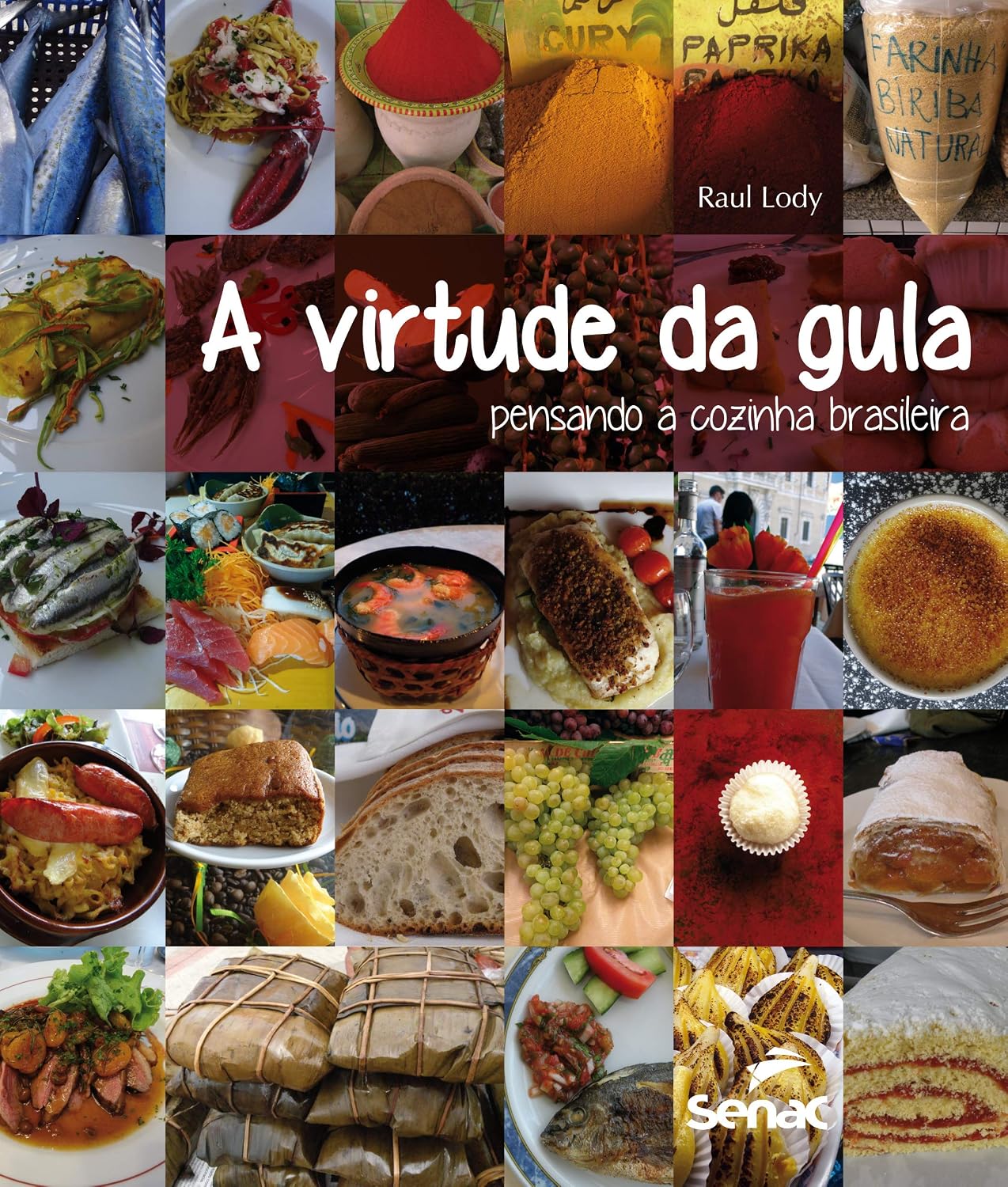 A virtude da gula: Pensando a cozinha brasileira baixar o livro de graça