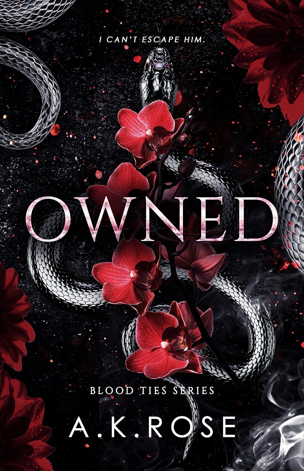 ler totalmente Owned (Blood Ties Book 4) (English Edition)