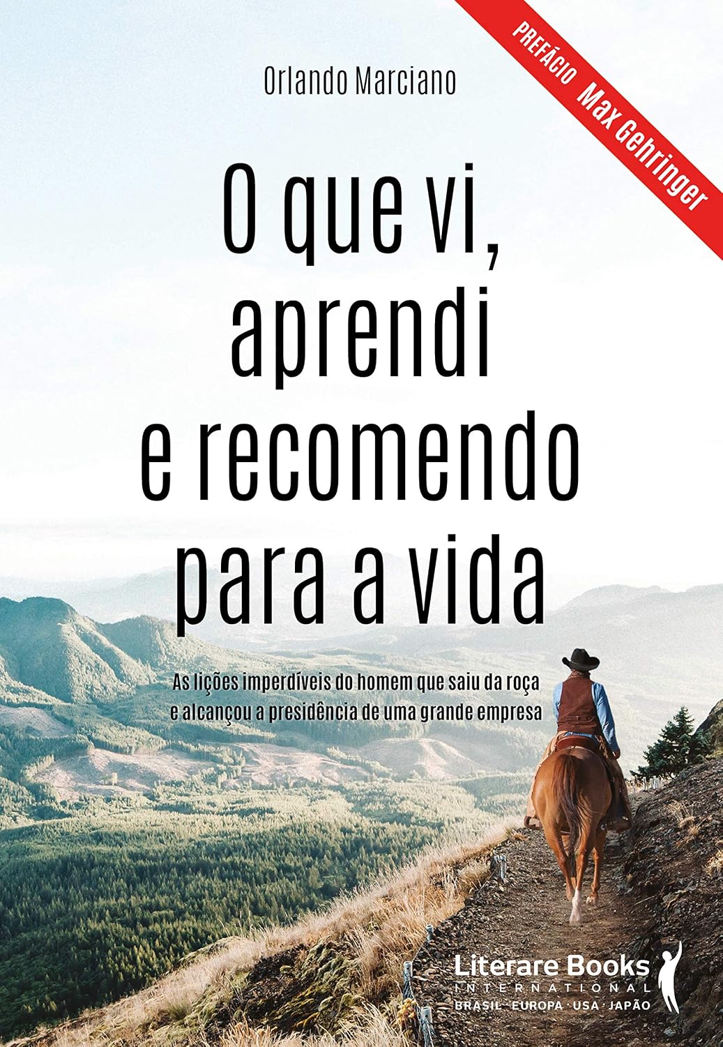 ler totalmente O que vi, aprendi e recomendo para a vida: As lições imperdíveis do homem que saiu da roça e alcançou a presidência de uma grande empresa