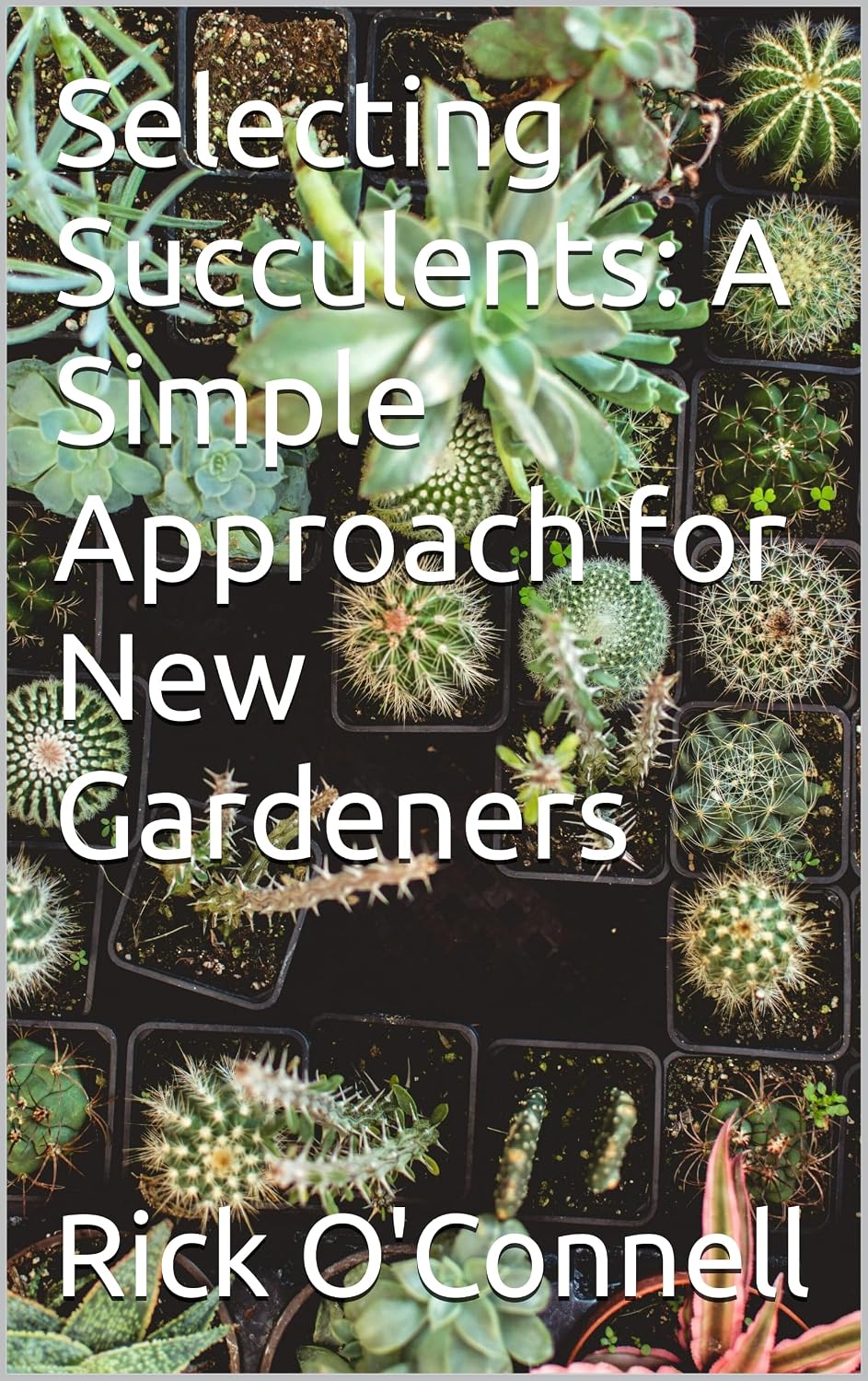 Selecting Succulents: A Simple Approach for New Gardeners (English Edition) baixar livro de graça