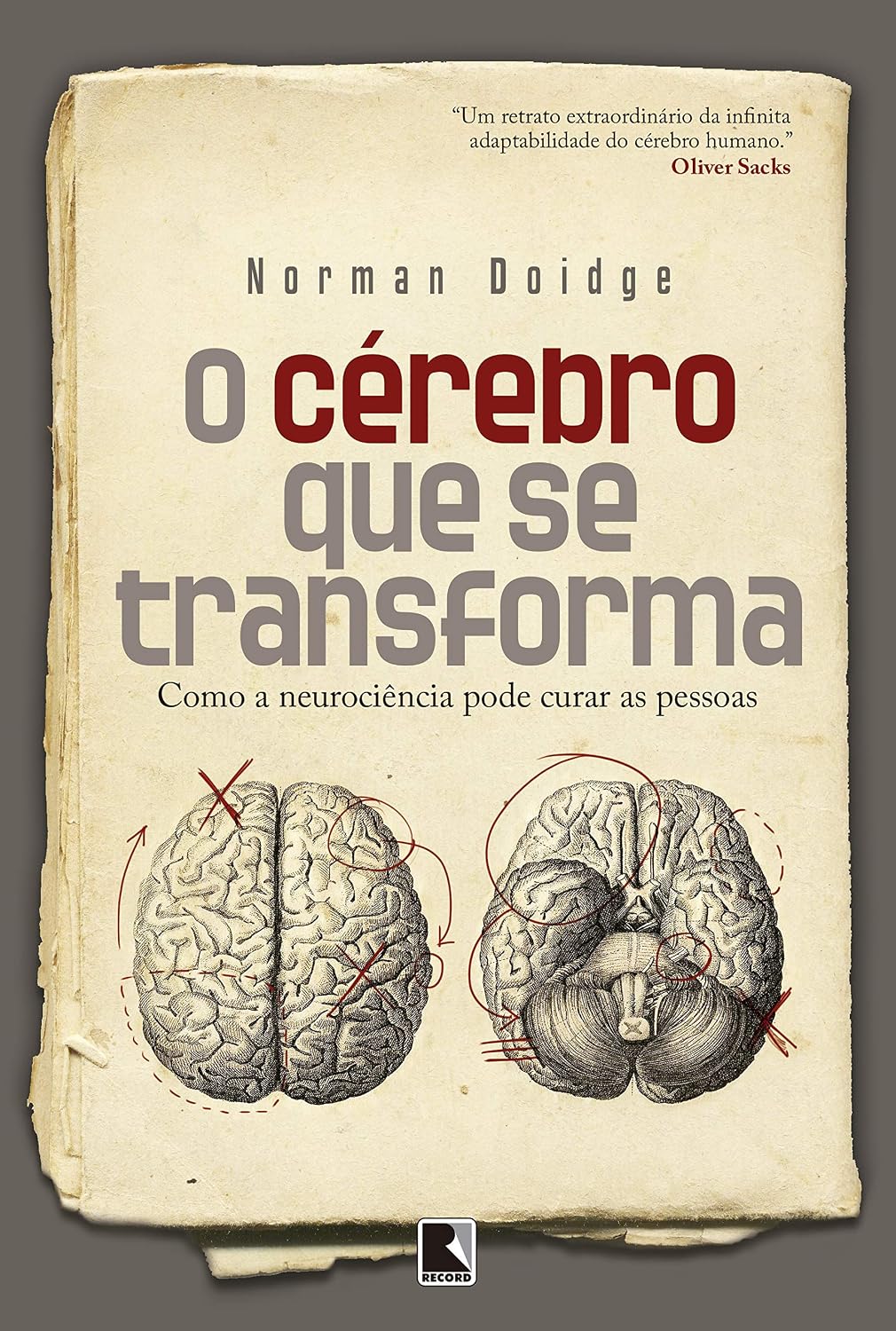 O cérebro que se transforma: Como a neurociência pode curar as pessoas baixar livro de graça