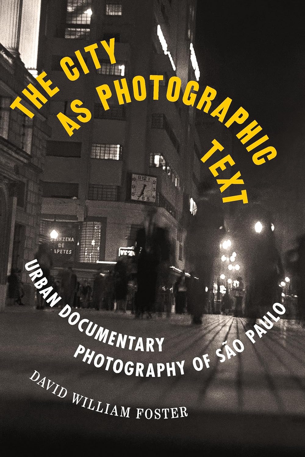 The City as Photographic Text: Urban Documentary Photography of São Paulo (Latinx and Latin American Profiles) (English Edition) baixar livro de graça