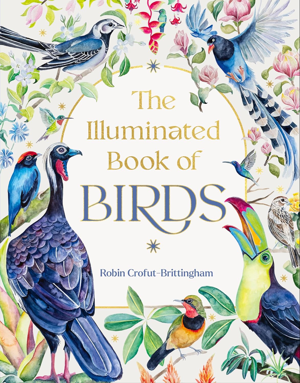 The Illuminated Book of Birds baixar o livro de graça