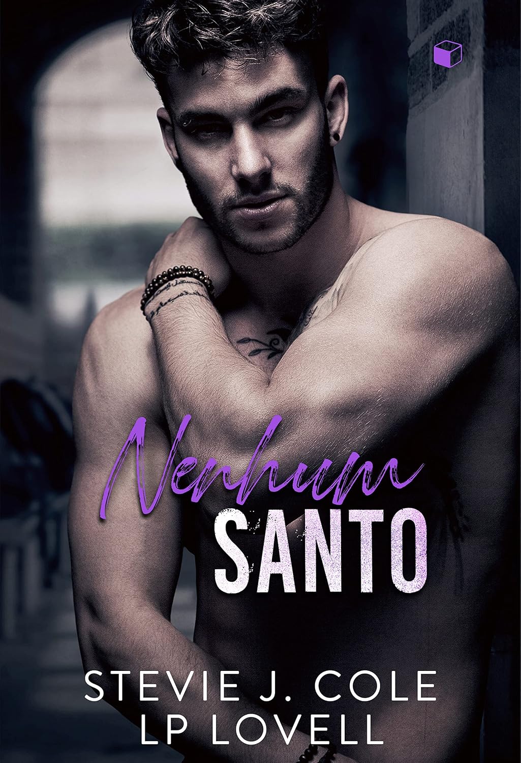 Nenhum Santo (Dayton Livro 2) baixar livro de graça